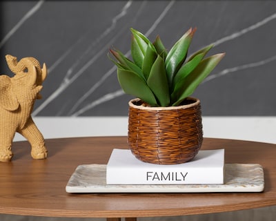 Foto 4 | Foto 4 | Agave Artificial con Maceta Starhaus 23 cm