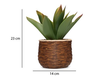 Foto 5 | Foto 5 | Agave Artificial con Maceta Starhaus 23 cm