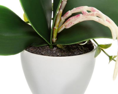 Foto 2 | Foto 2 | Maceta Artificial Any de 30 cm