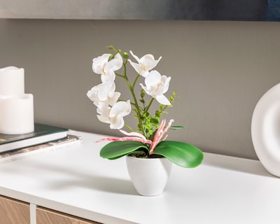 Foto 3 | Foto 3 | Maceta Artificial Any de 30 cm