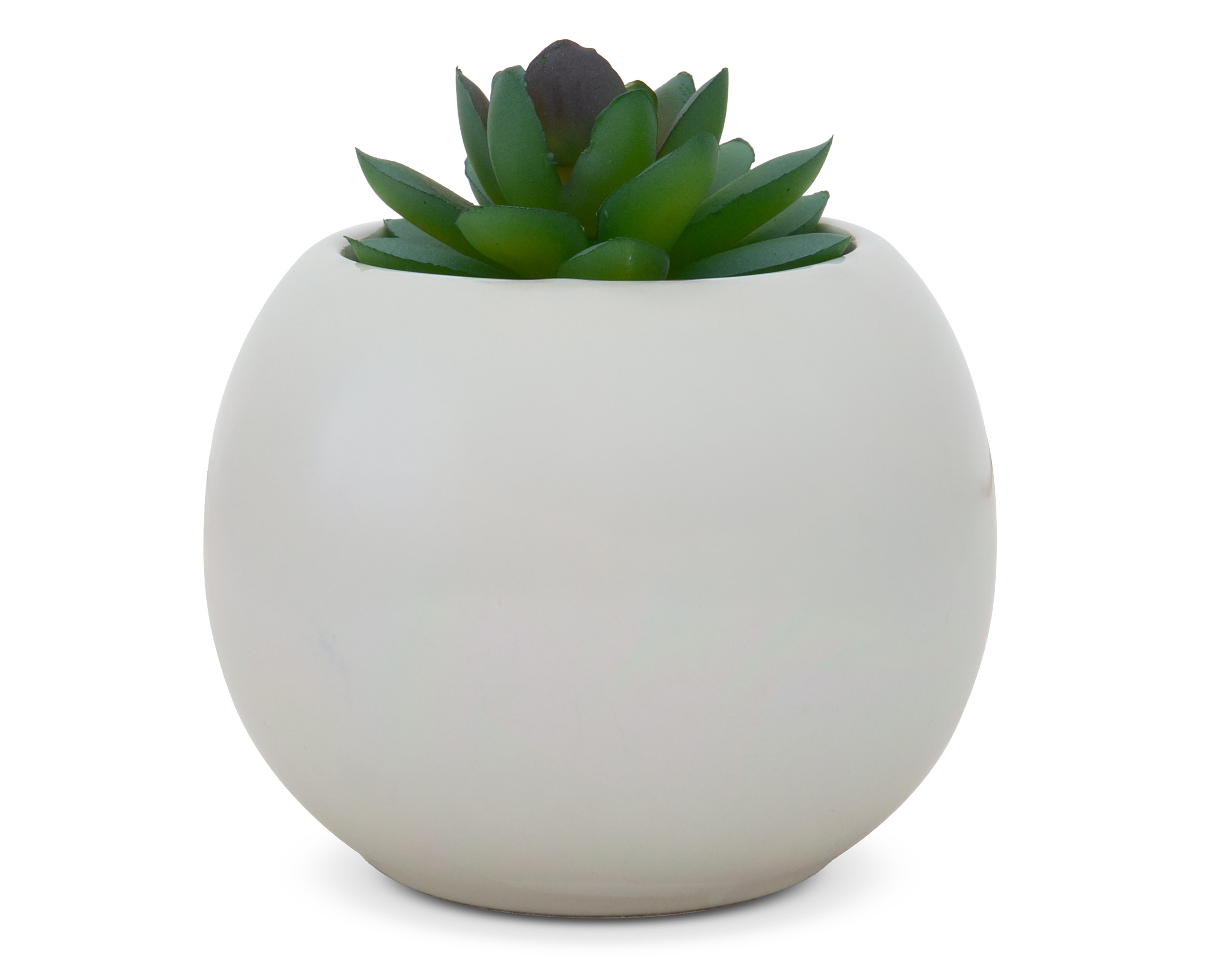 Suculenta Artificial con Maceta Starhaus 11 cm