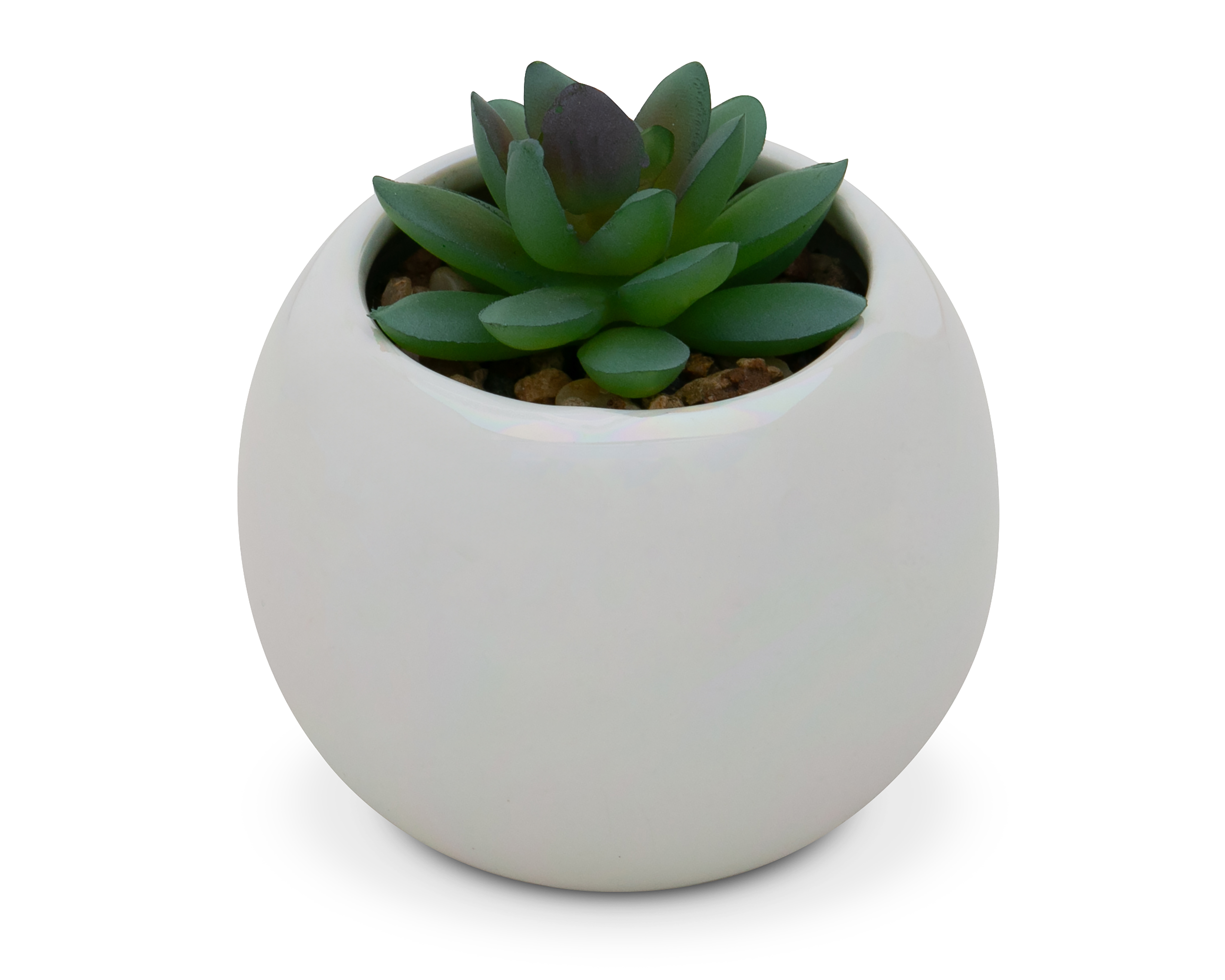 Foto 2 | Foto 2 | Suculenta Artificial con Maceta Starhaus 11 cm