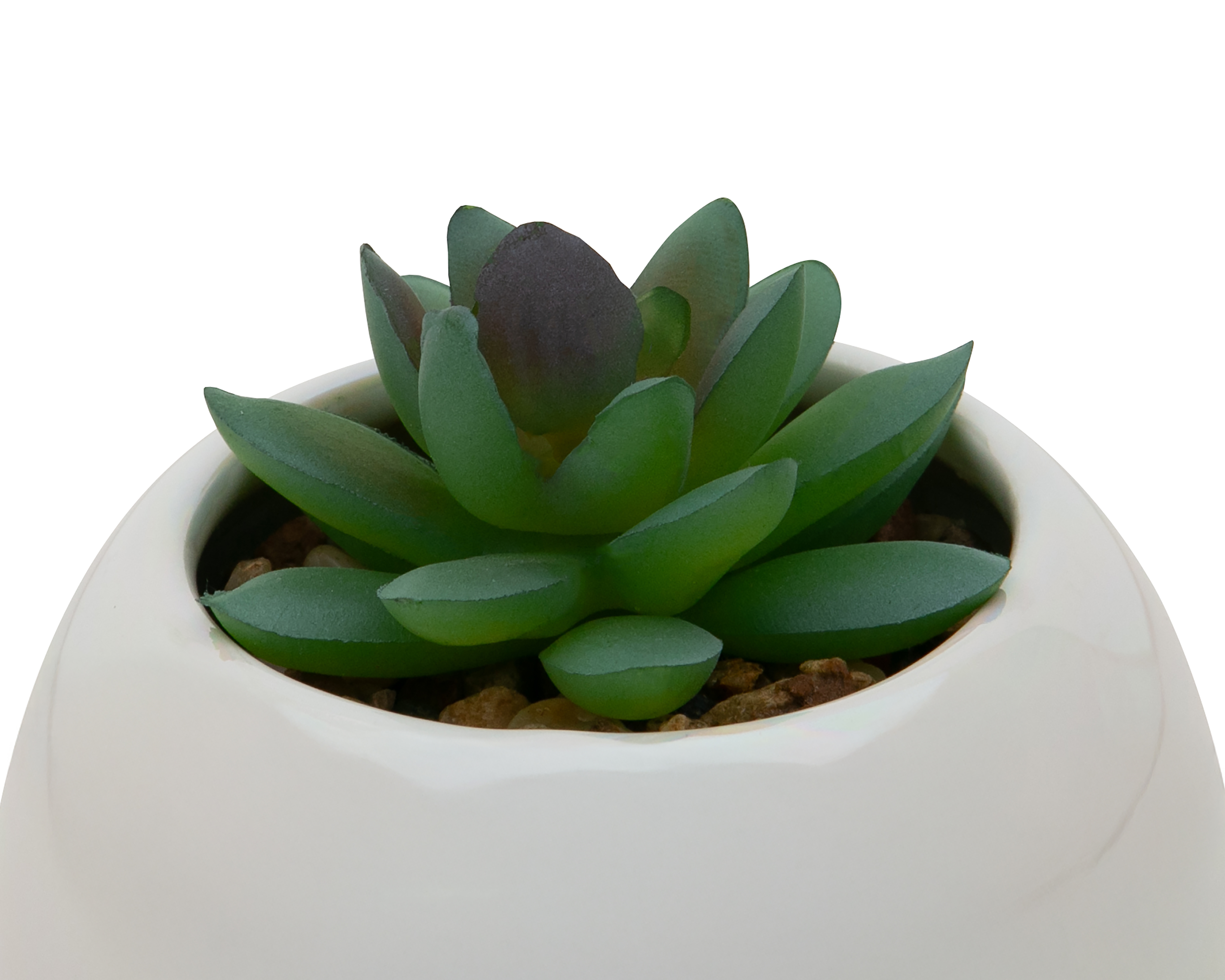 Foto 4 pulgar | Foto 3 | Suculenta Artificial con Maceta Starhaus 11 cm