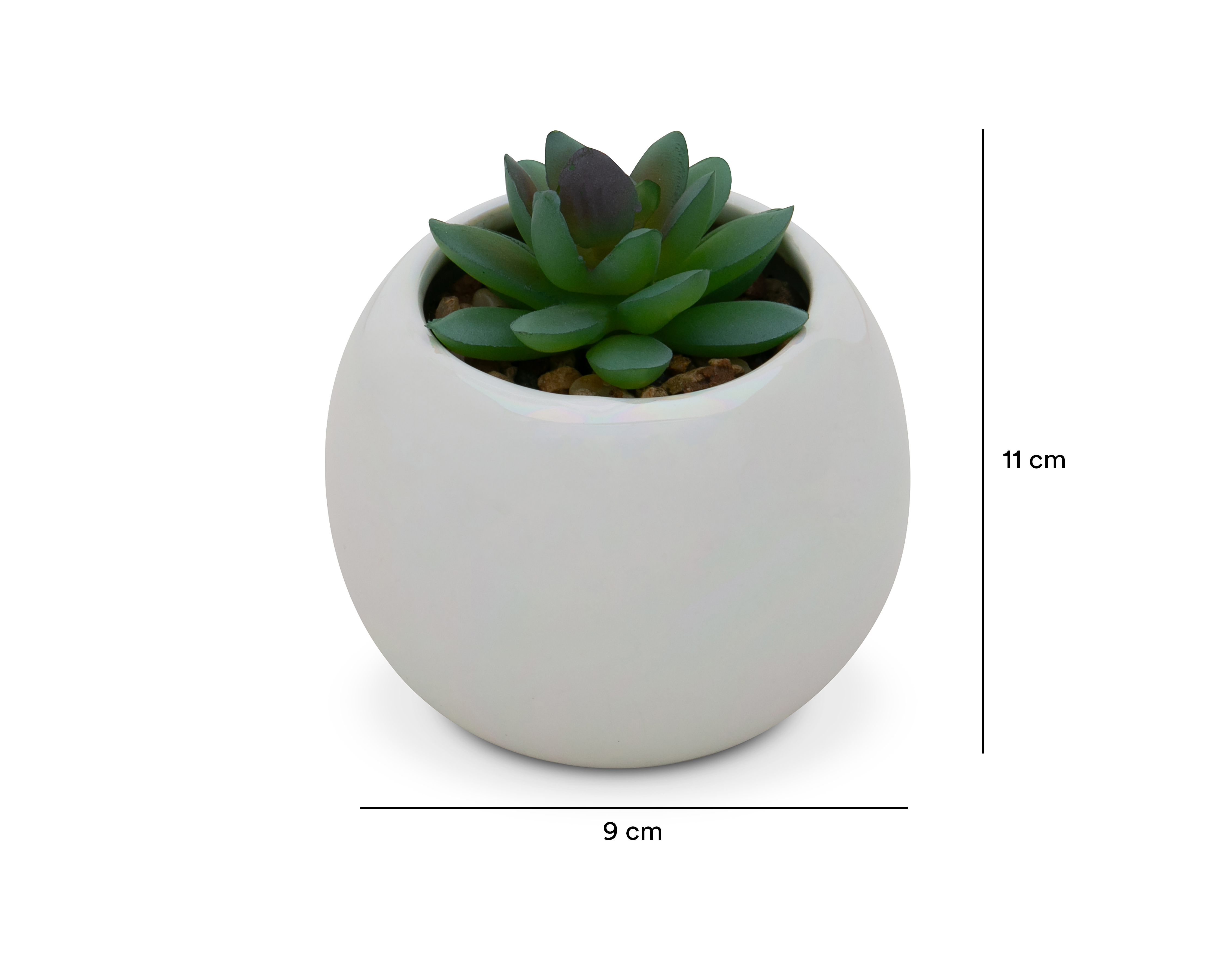 Foto 6 pulgar | Foto 5 | Suculenta Artificial con Maceta Starhaus 11 cm