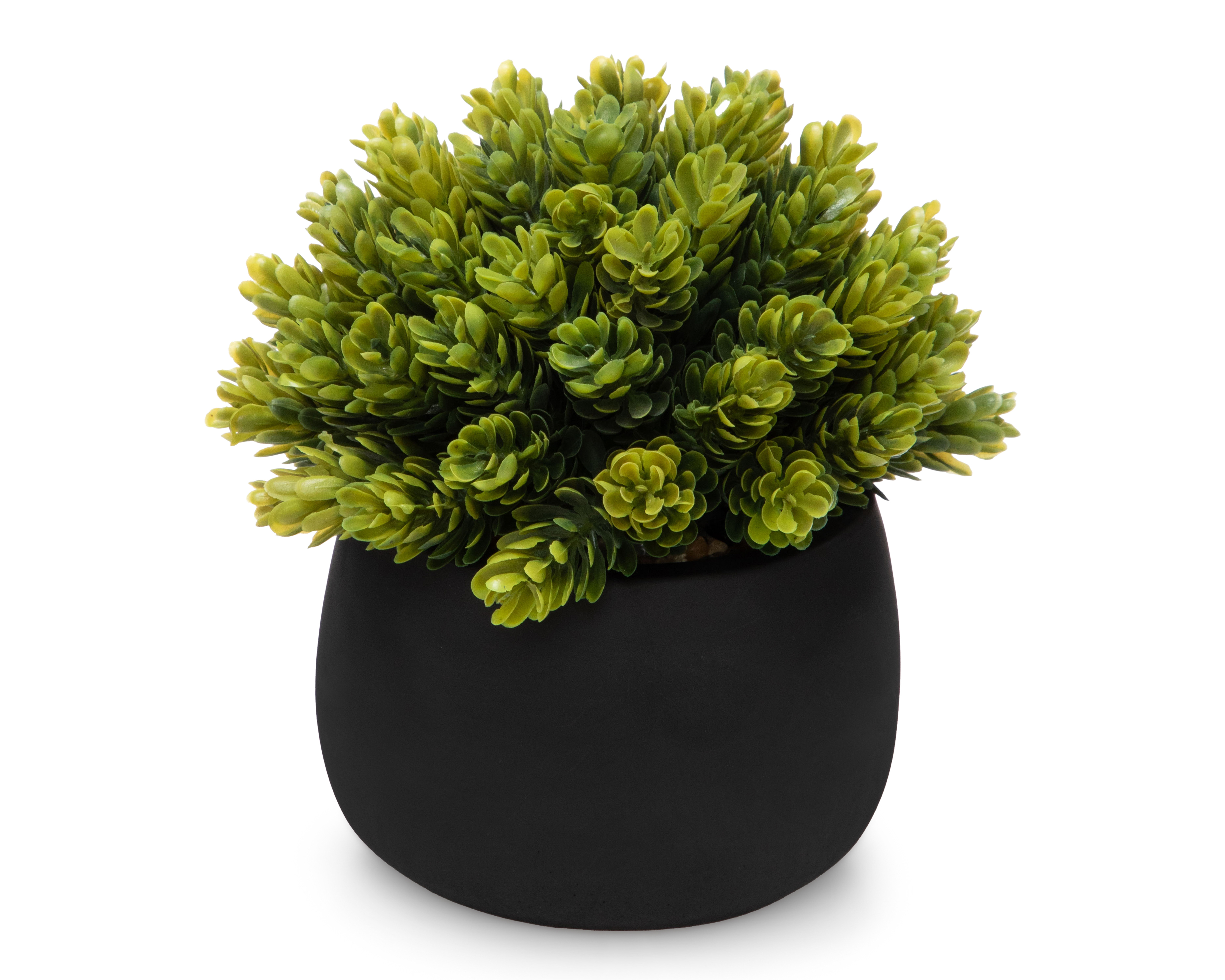 Foto 2 | Foto 2 | Planta Artificial con Maceta Starhaus 16 cm