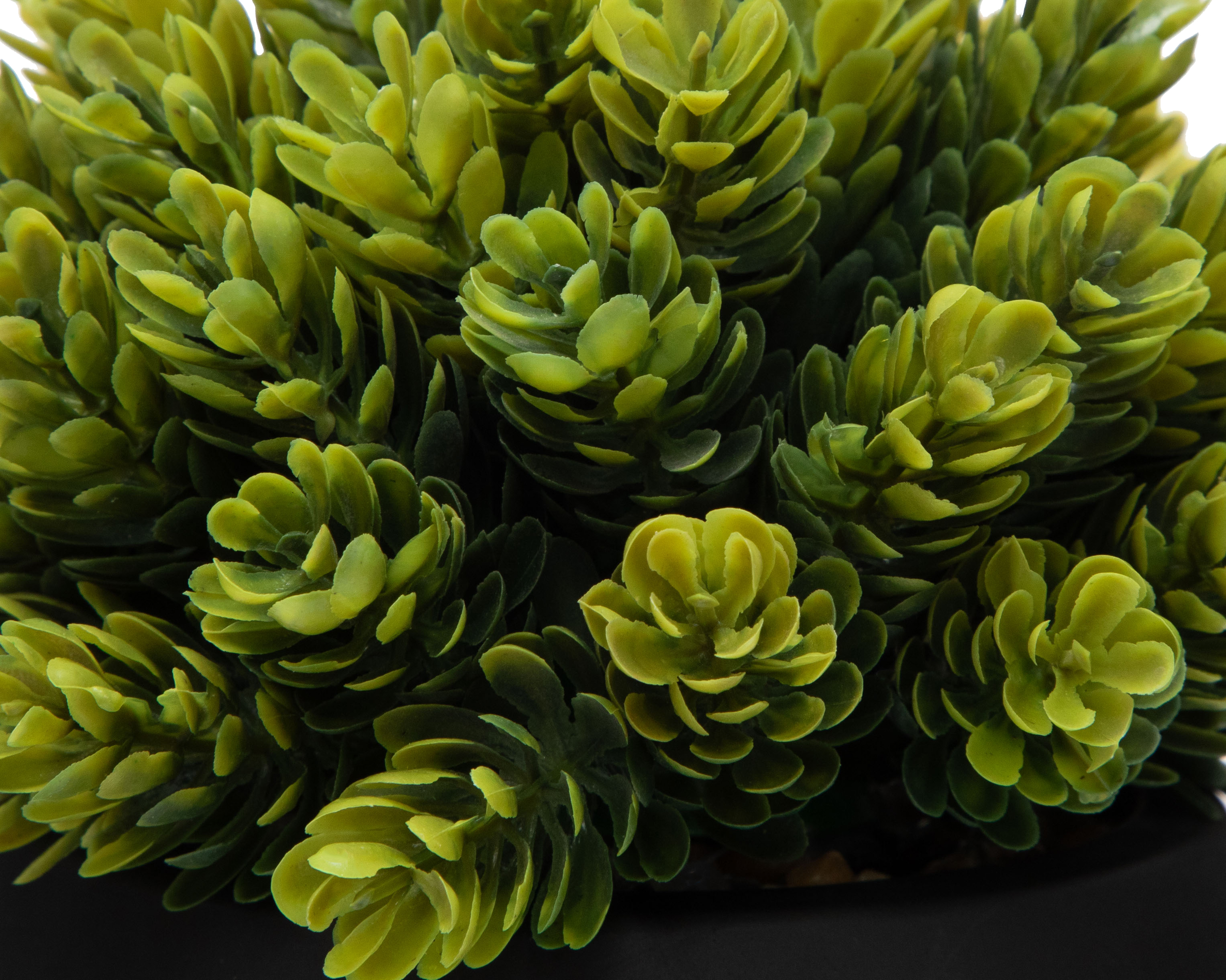 Foto 3 | Foto 3 | Planta Artificial con Maceta Starhaus 16 cm