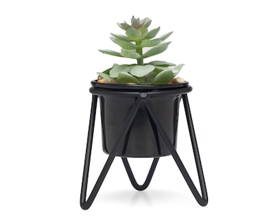 Foto 1 | Foto 1 | Suculenta Artificial con Maceta Starhaus 12 cm