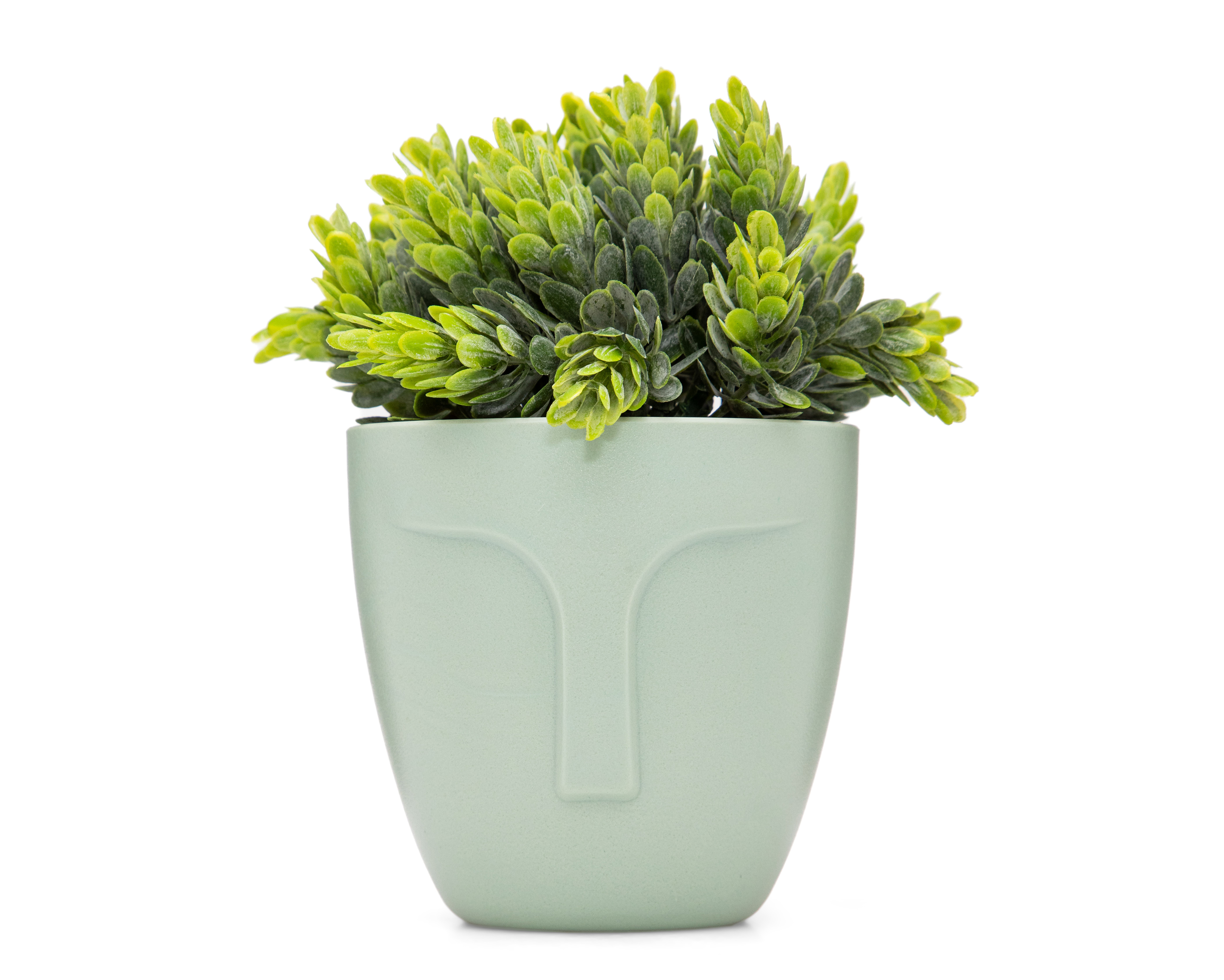Foto 1 | Foto 1 | Crassula Artificial con Maceta Starhaus 15 cm