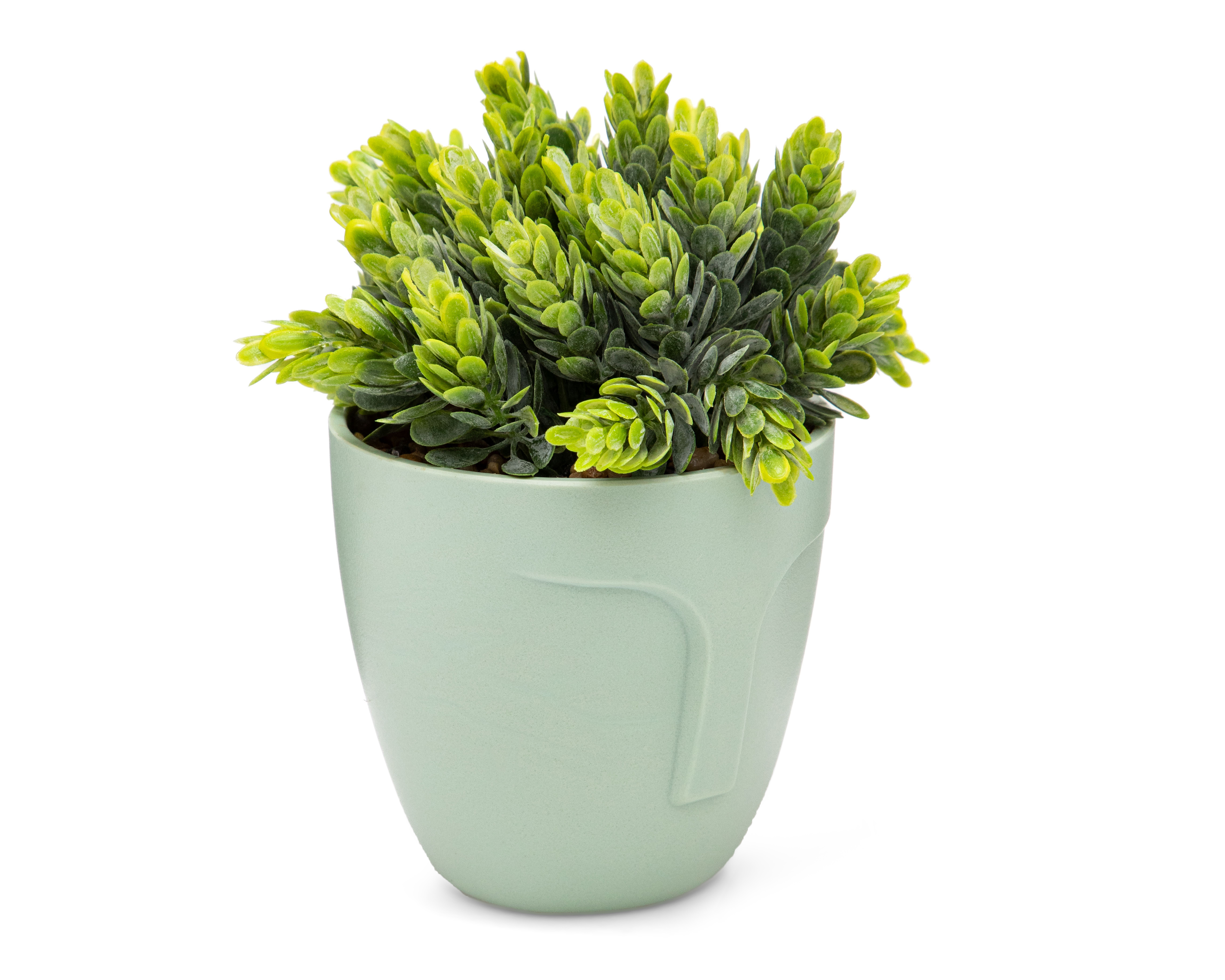 Foto 3 pulgar | Foto 2 | Crassula Artificial con Maceta Starhaus 15 cm