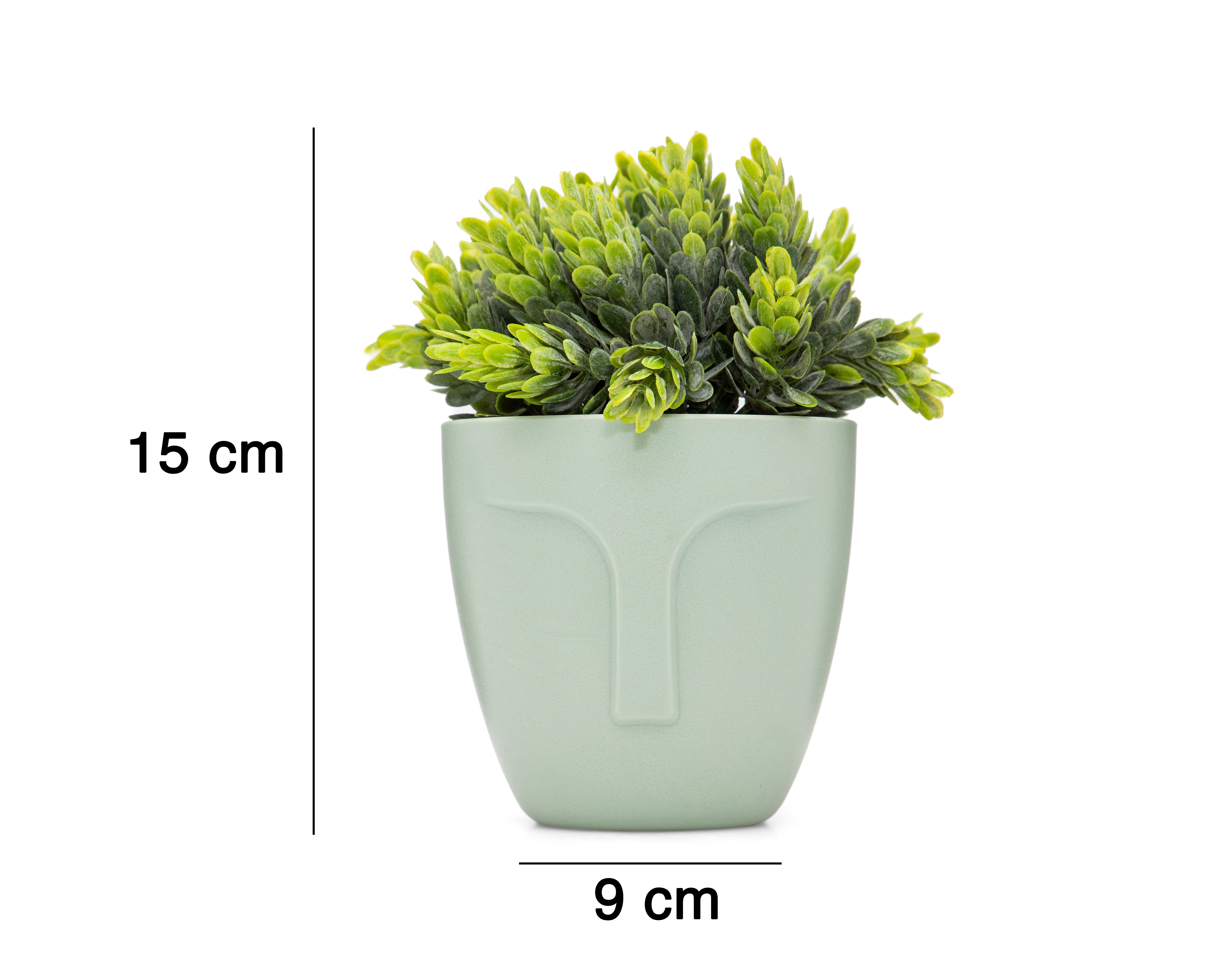 Foto 5 | Foto 5 | Crassula Artificial con Maceta Starhaus 15 cm