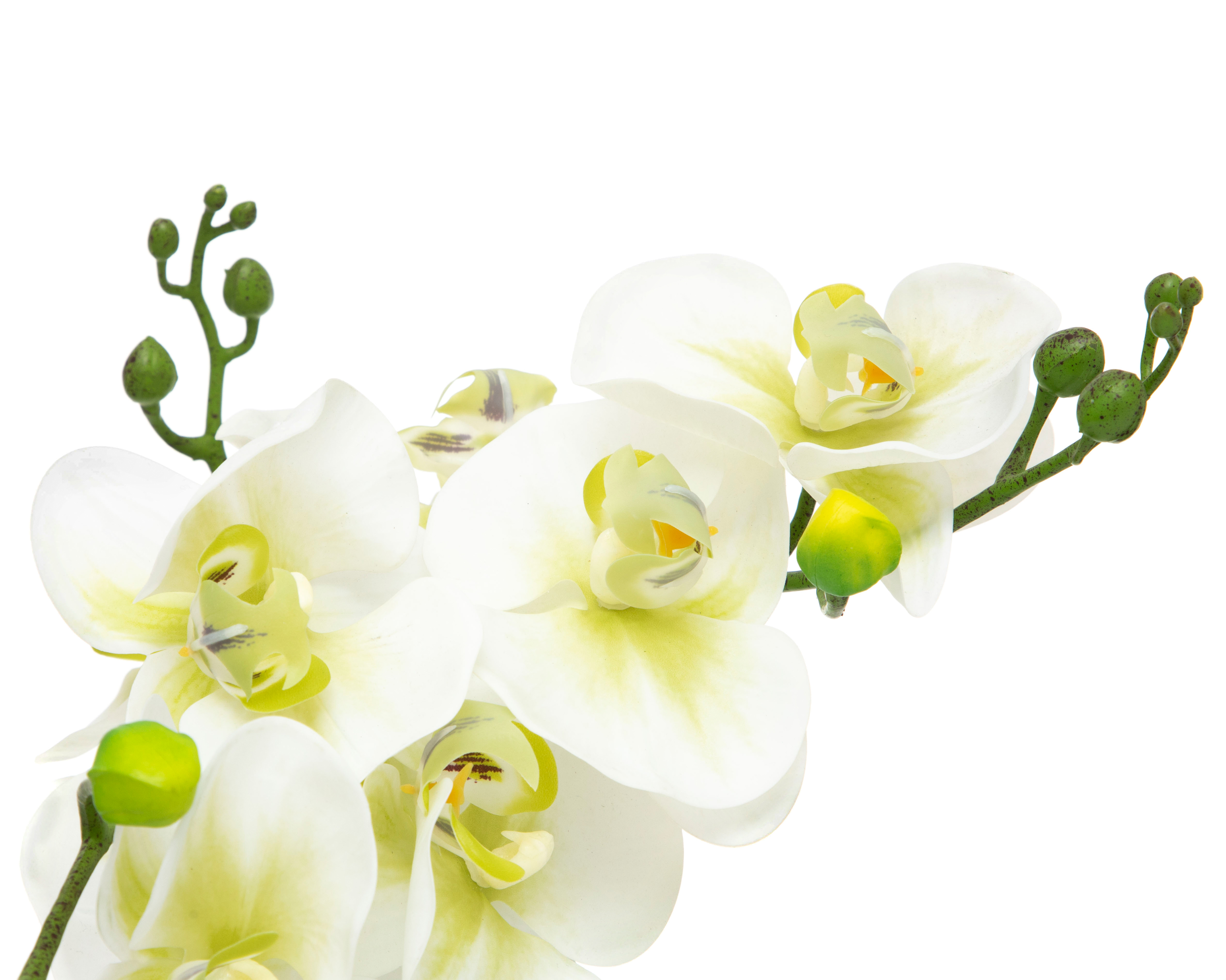 Foto 4 pulgar | Foto 3 | Orquídea Artificial con Maceta Starhaus 29 cm