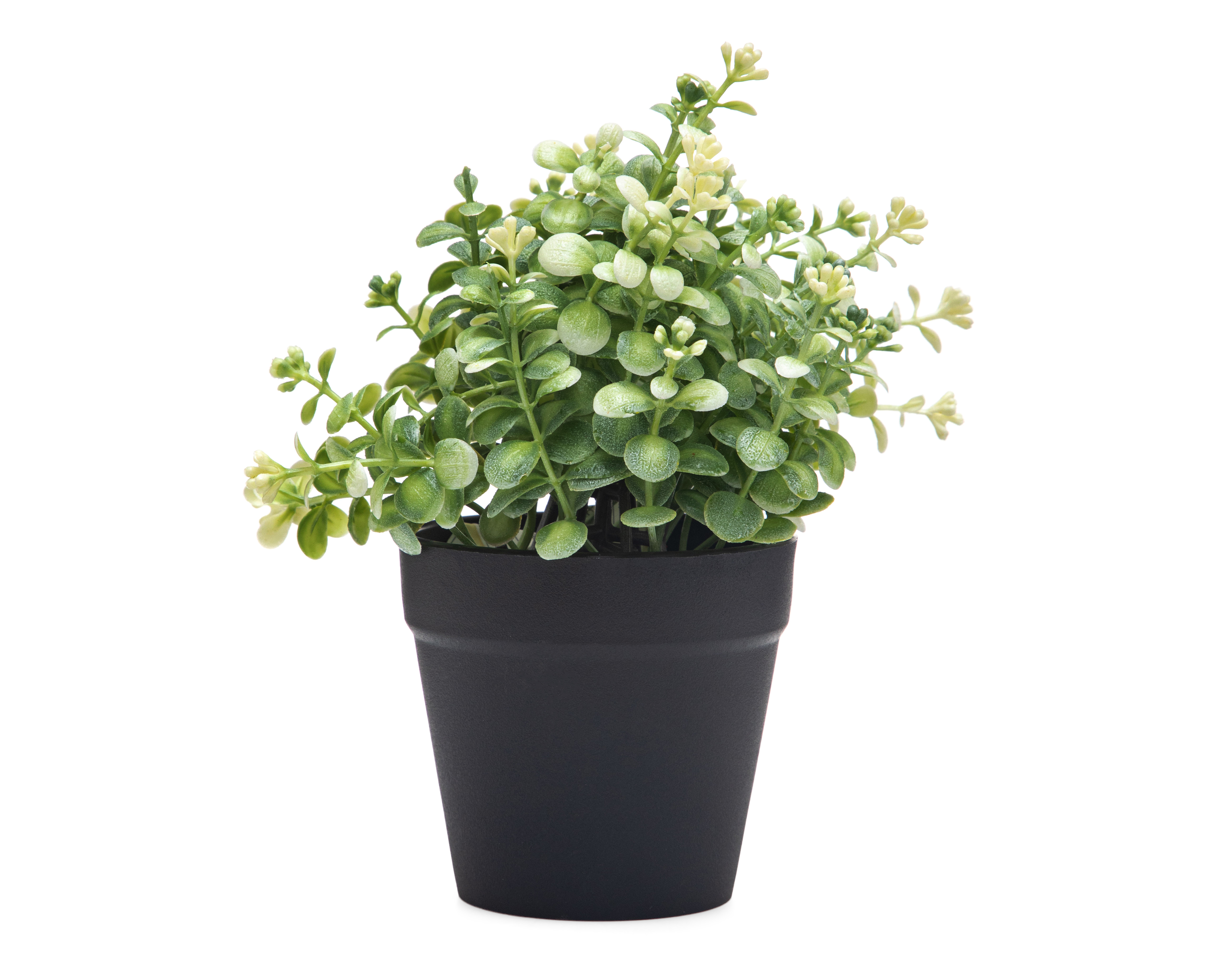 Foto 1 | Foto 1 | Eucalipto Artificial con Maceta Starhaus 19 cm