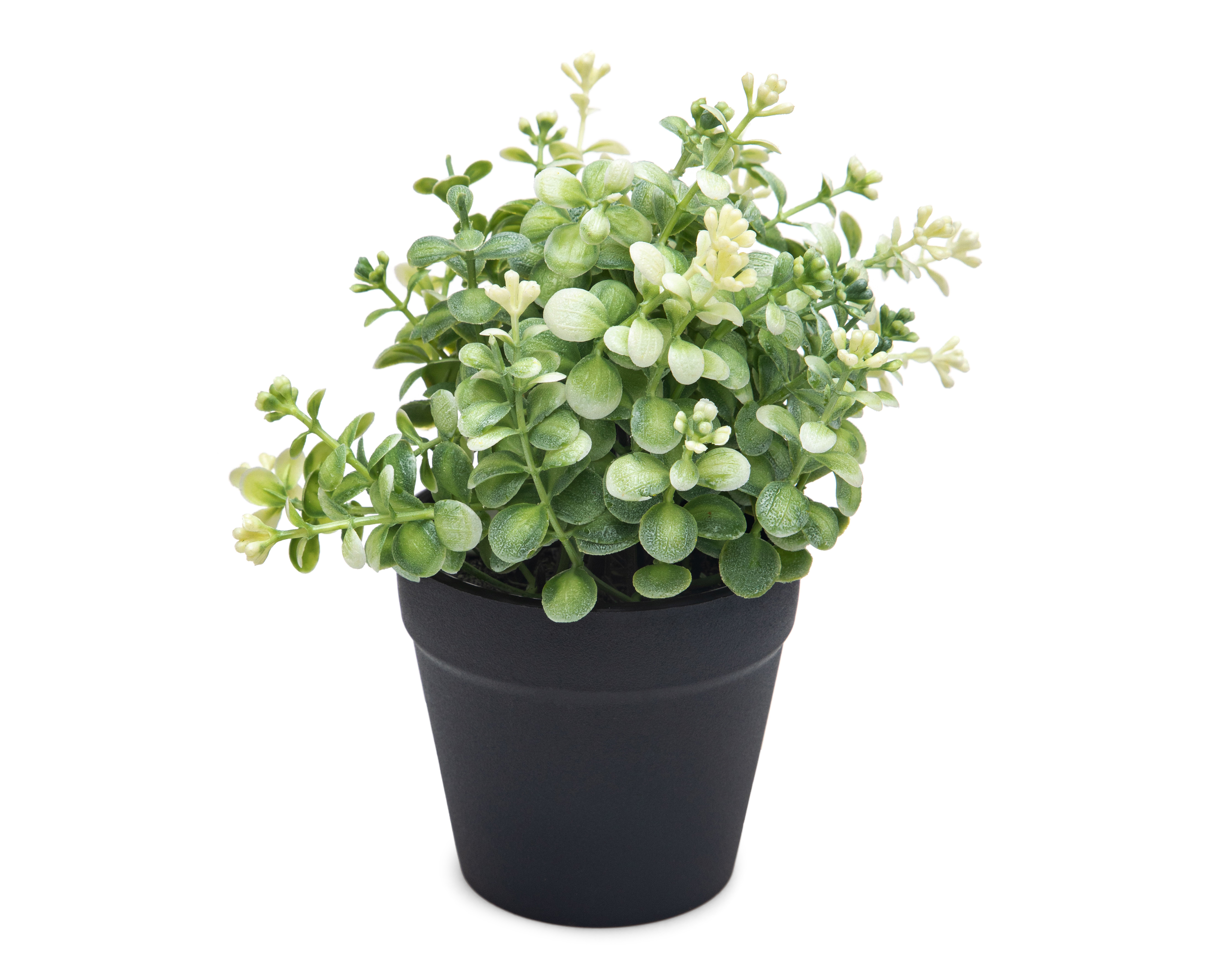 Foto 2 | Foto 2 | Eucalipto Artificial con Maceta Starhaus 19 cm