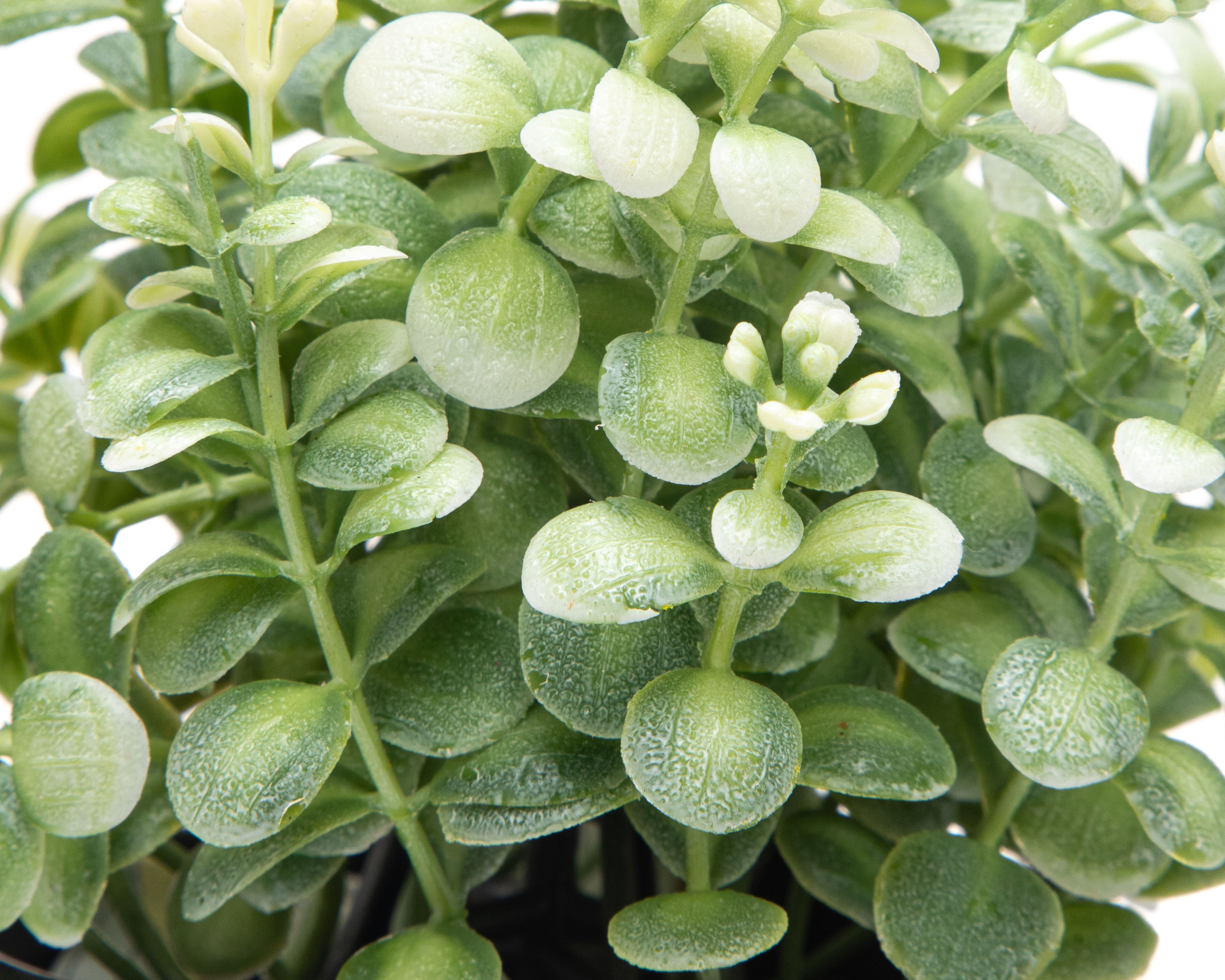 Foto 3 | Foto 3 | Eucalipto Artificial con Maceta Starhaus 19 cm