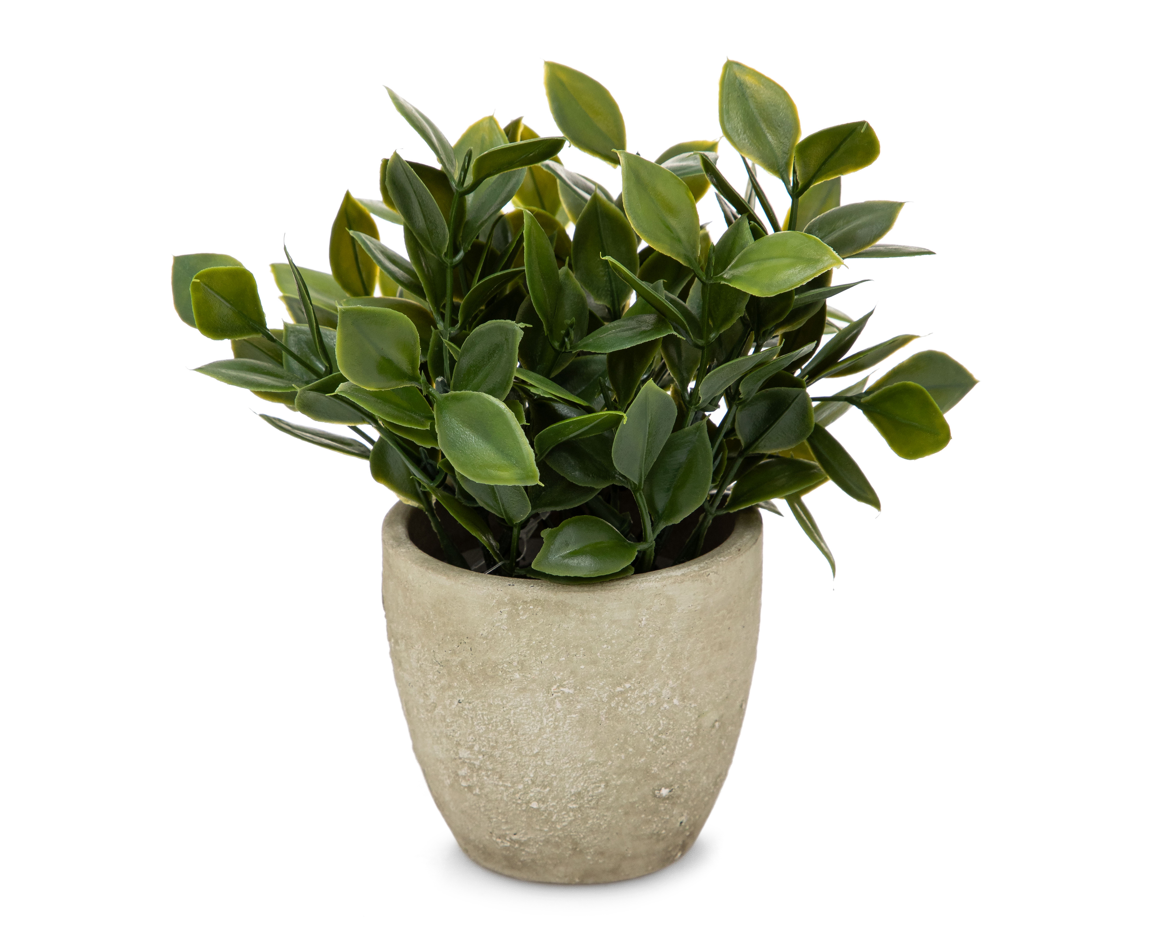 Foto 3 pulgar | Foto 2 | Ficus Artificial con Maceta Starhaus 16.5 cm