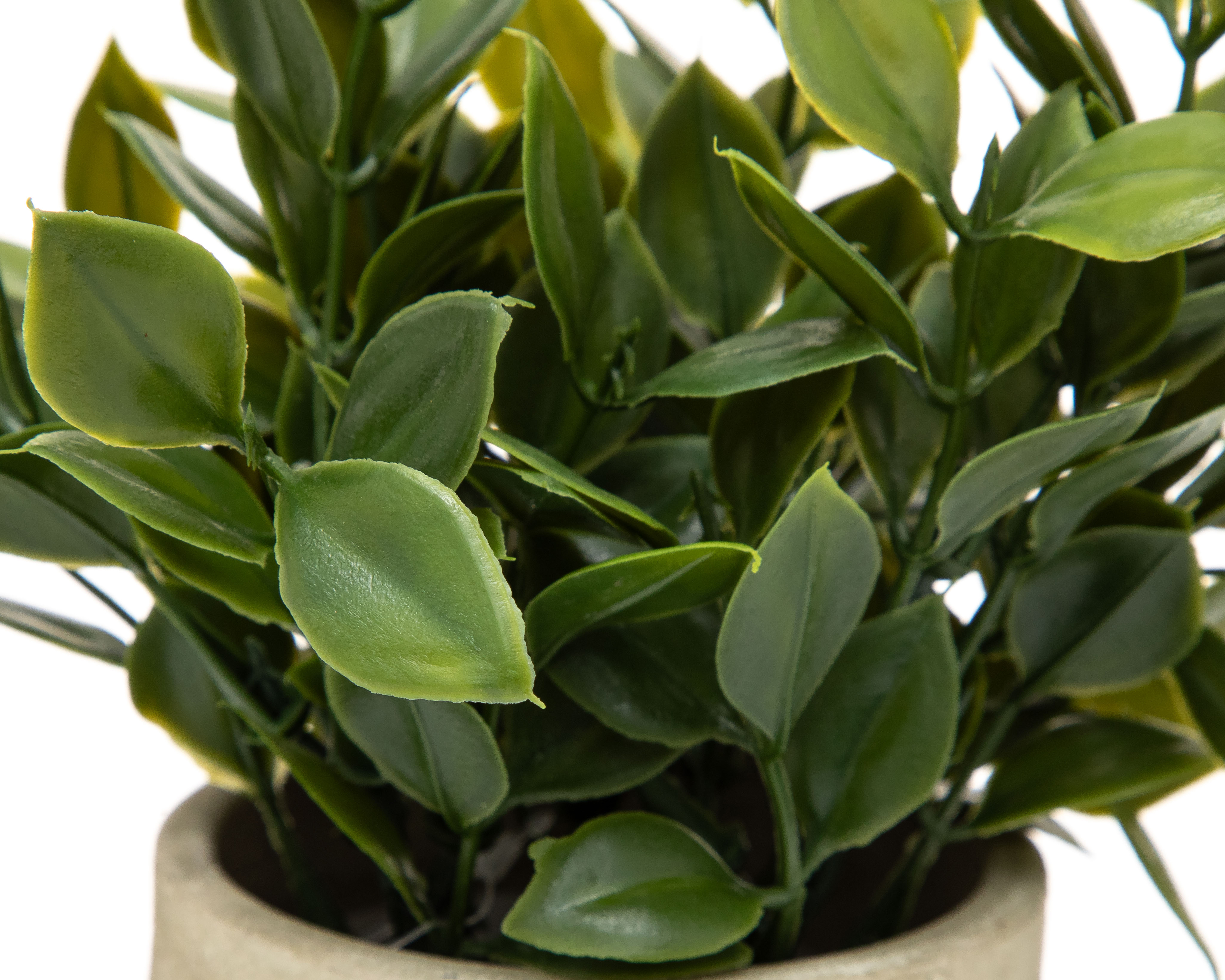 Foto 3 | Foto 3 | Ficus Artificial con Maceta Starhaus 16.5 cm