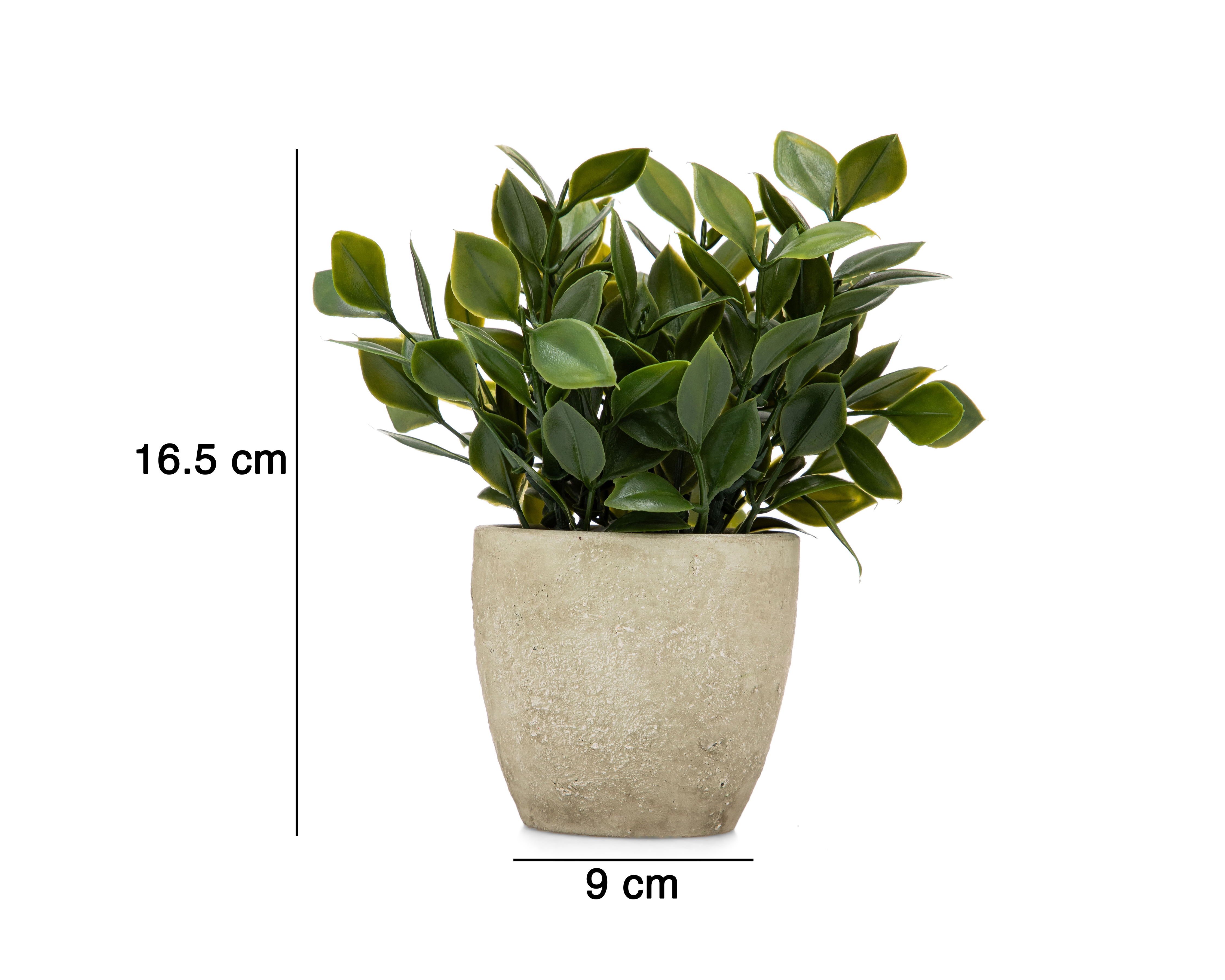 Foto 6 pulgar | Foto 5 | Ficus Artificial con Maceta Starhaus 16.5 cm