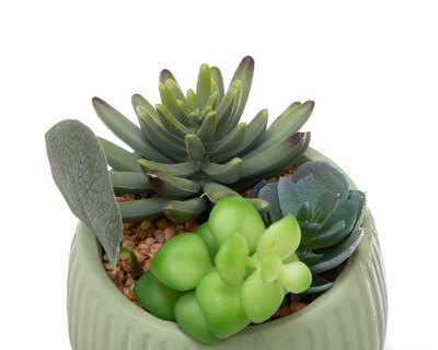Foto 3 | Foto 3 | Planta Artificial con Maceta 16 cm