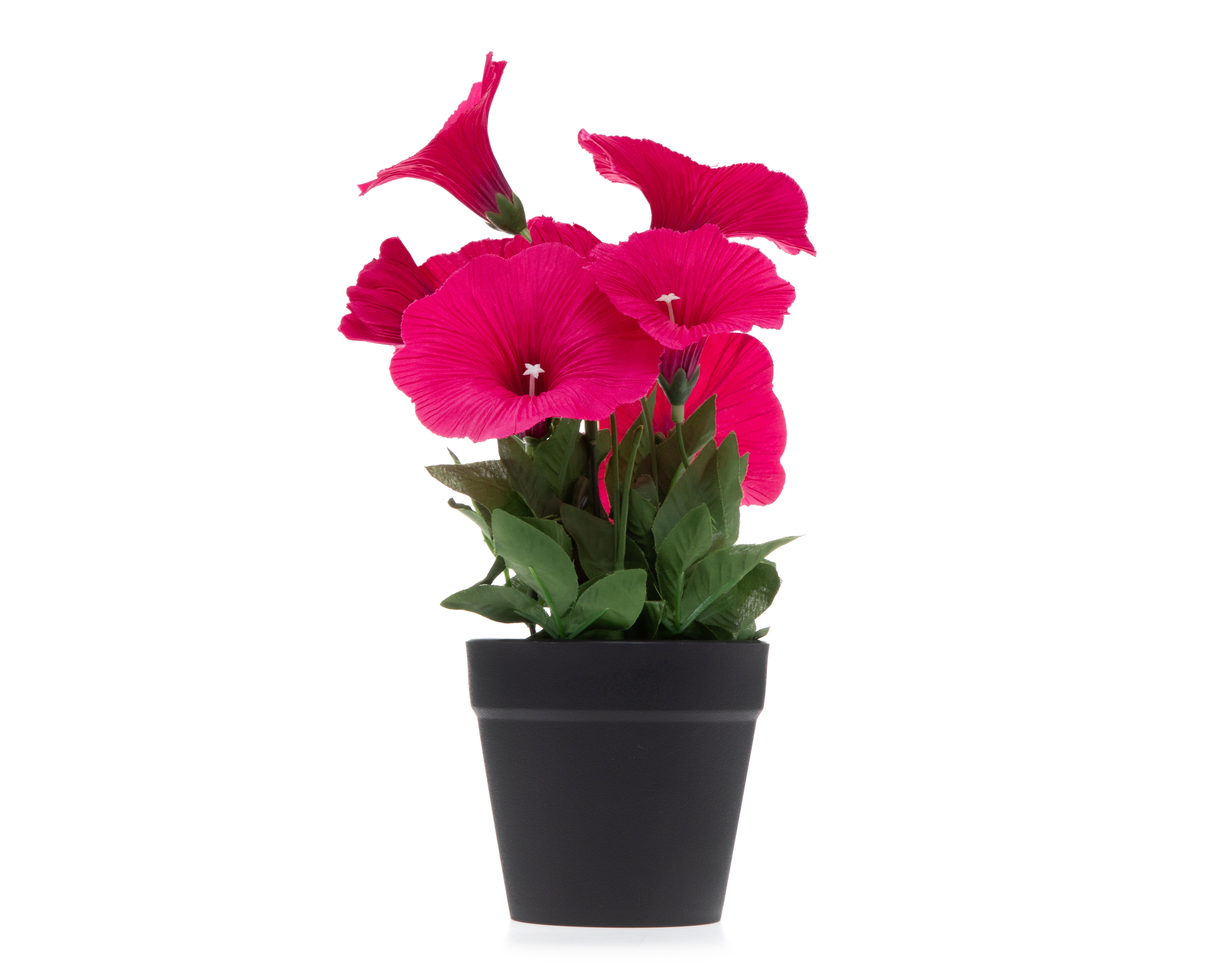 Planta Artificial con Maceta Starhaus 25 cm