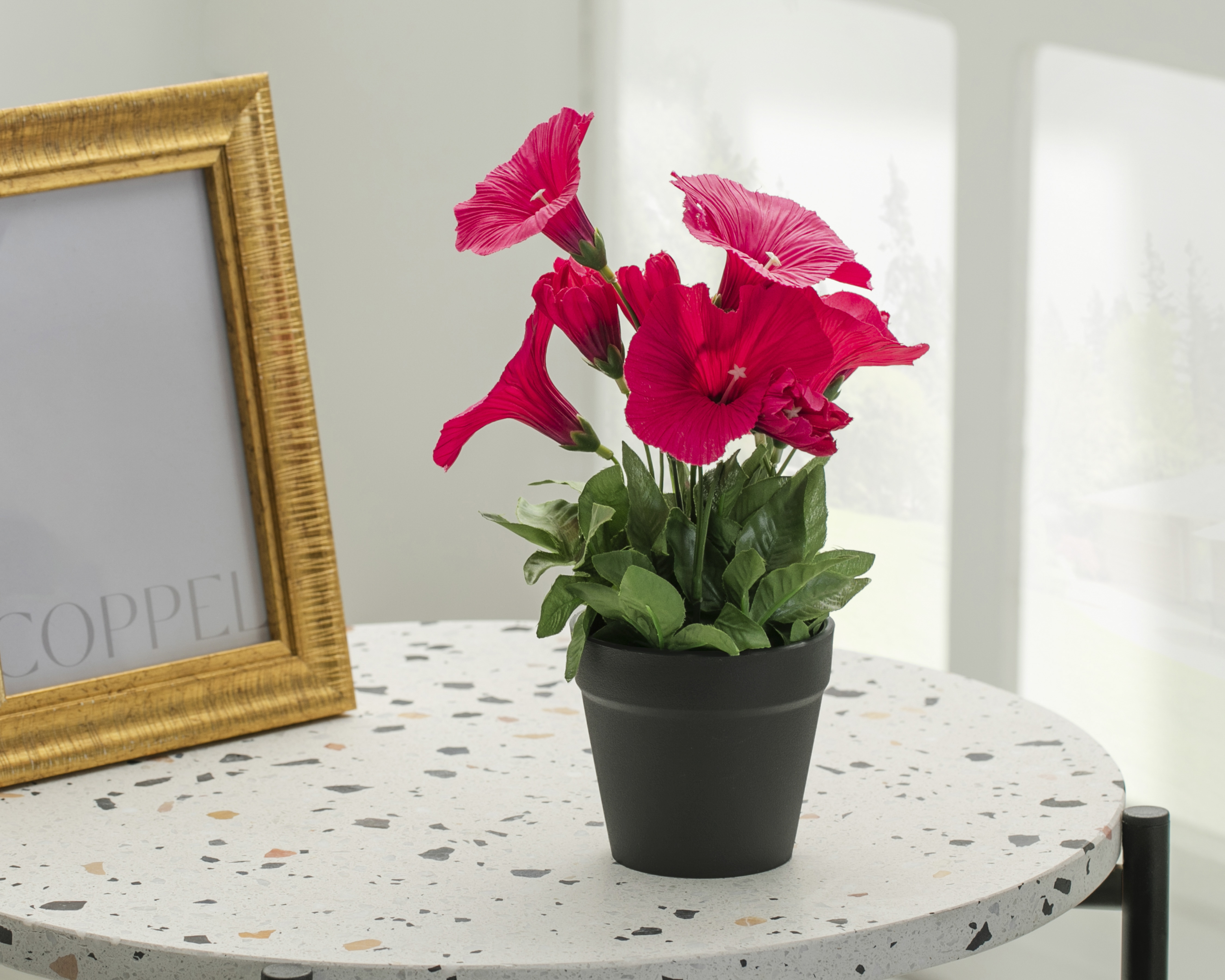 Foto 5 pulgar | Foto 4 | Planta Artificial con Maceta Starhaus 25 cm