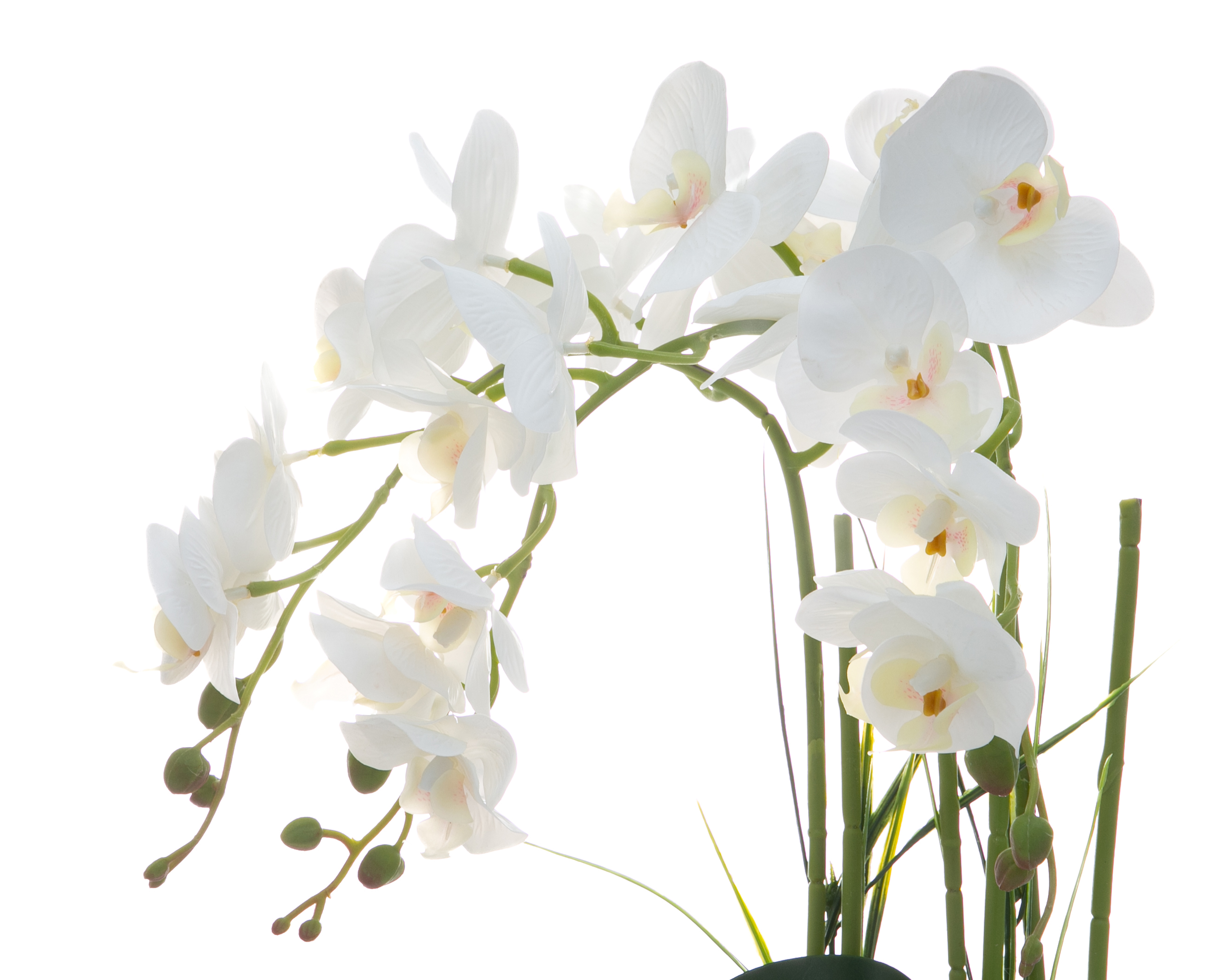 Foto 4 pulgar | Foto 3 | Orquídea Artificial con Maceta Starhaus 48 cm