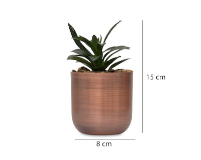 Foto 5 | Foto 5 | Suculenta Artificial con Maceta Starhaus 15 cm