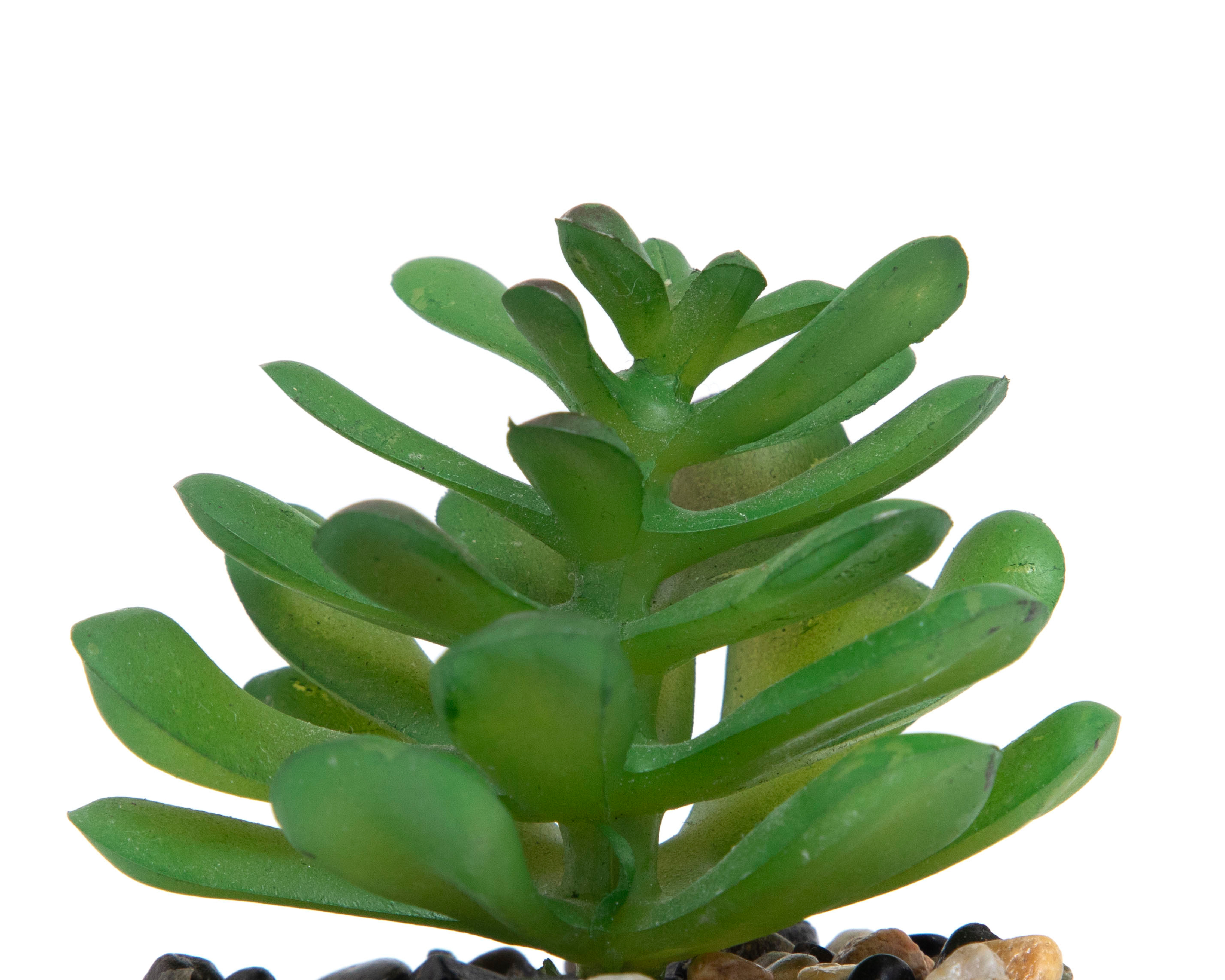 Foto 4 pulgar | Foto 3 | Suculenta Artificial con Maceta Starhaus 12 cm