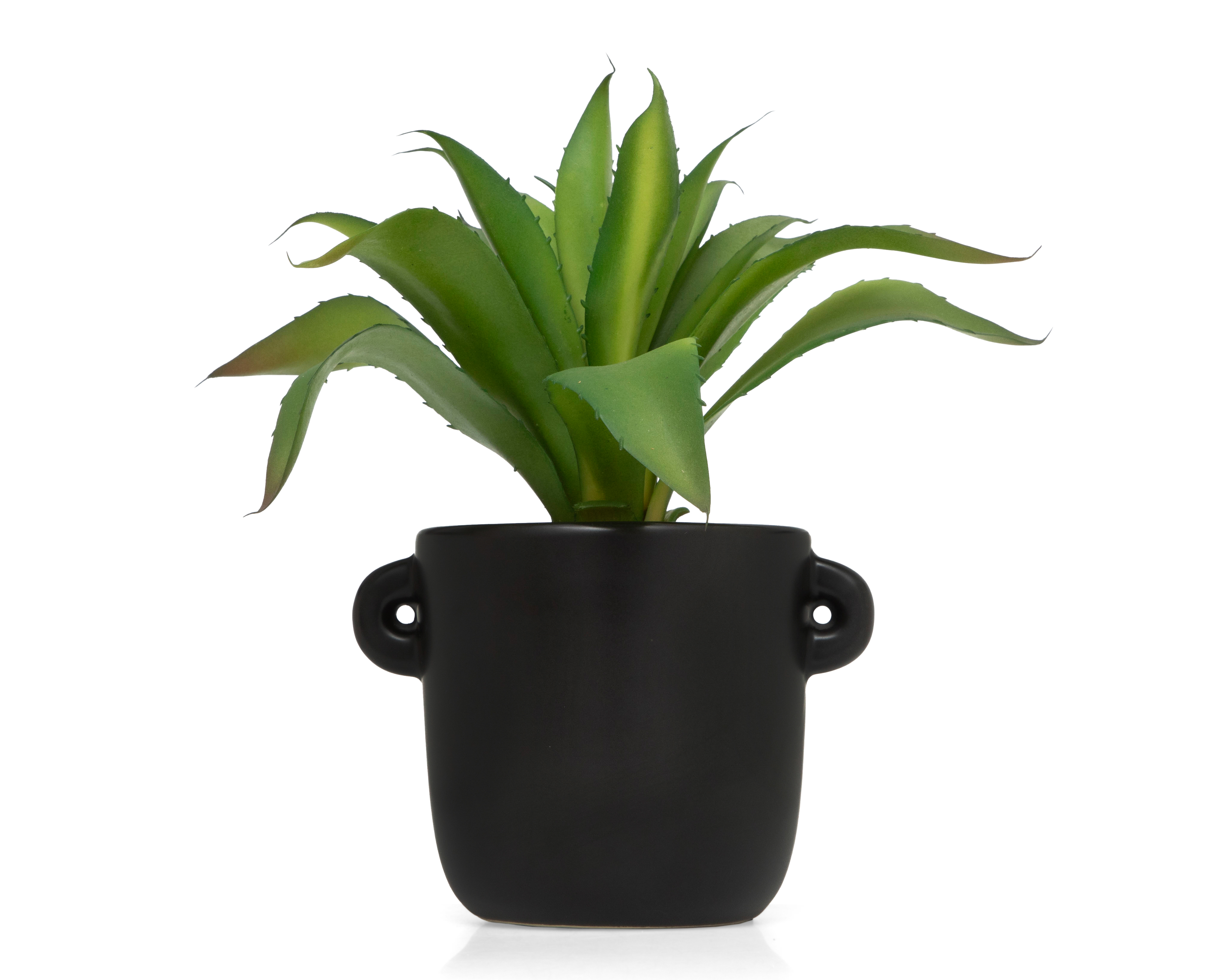Foto 1 | Foto 1 | Aloe Vera con Maceta Starhaus 27 cm