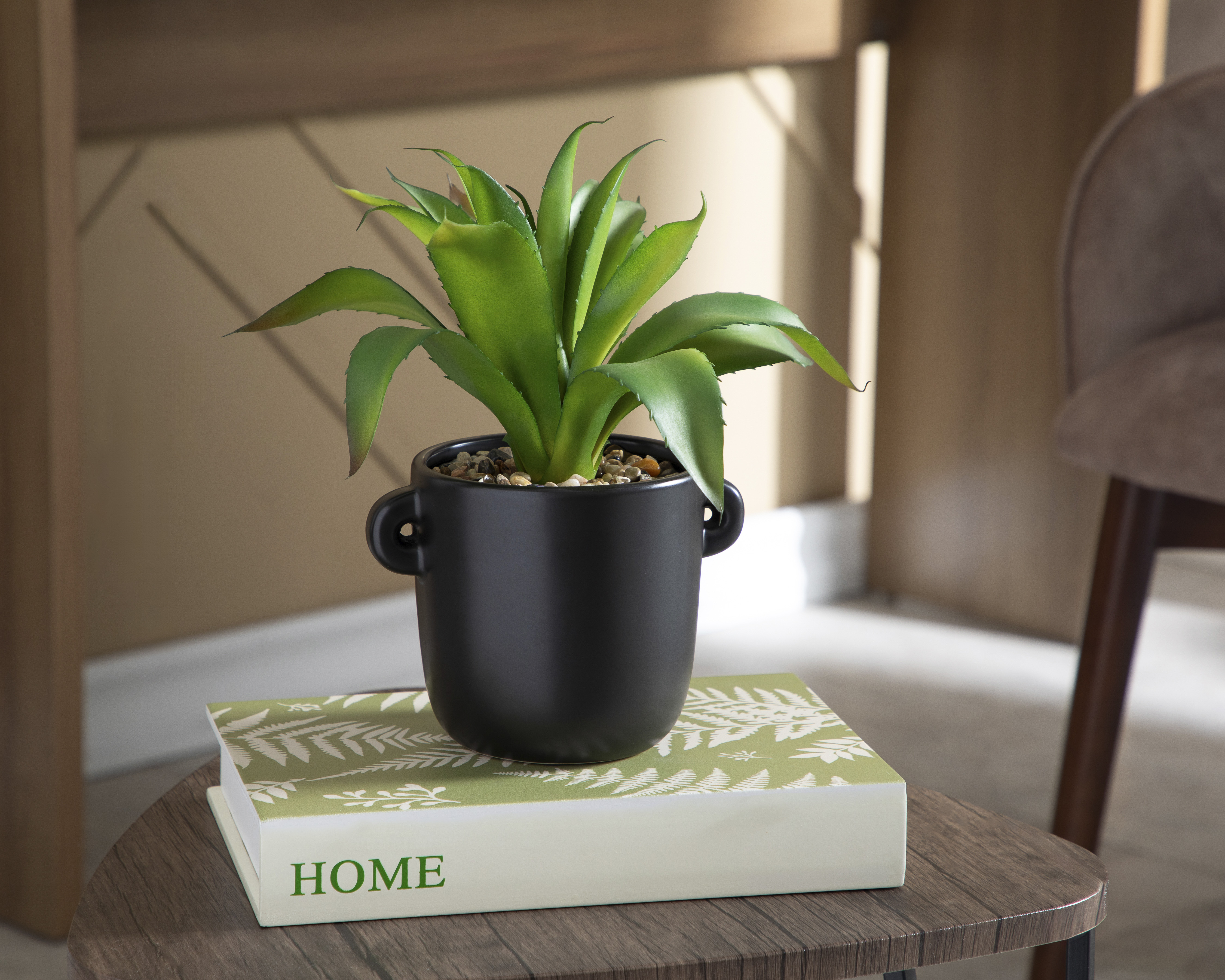 Foto 4 | Foto 4 | Aloe Vera con Maceta Starhaus 27 cm