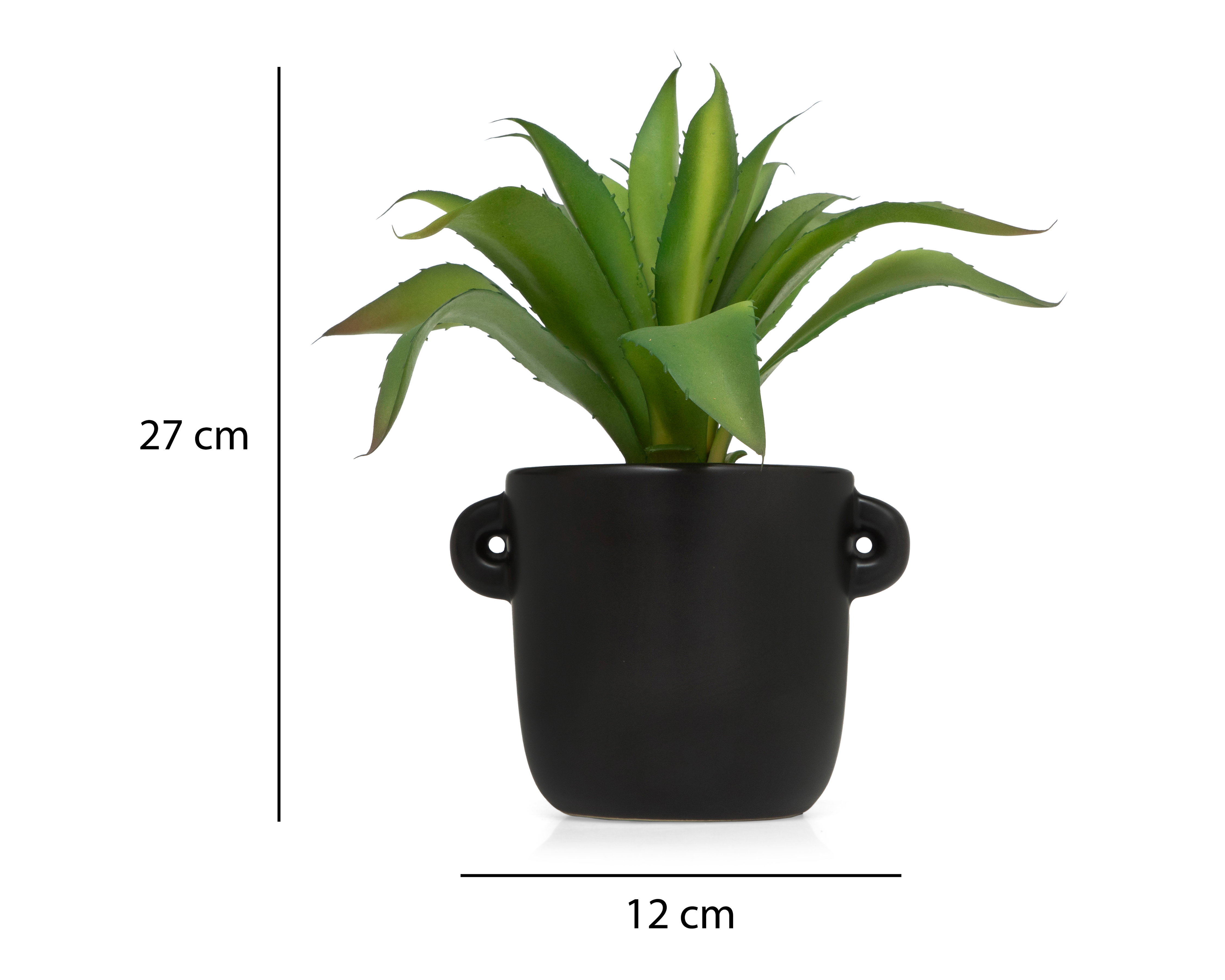 Foto 5 | Foto 5 | Aloe Vera con Maceta Starhaus 27 cm