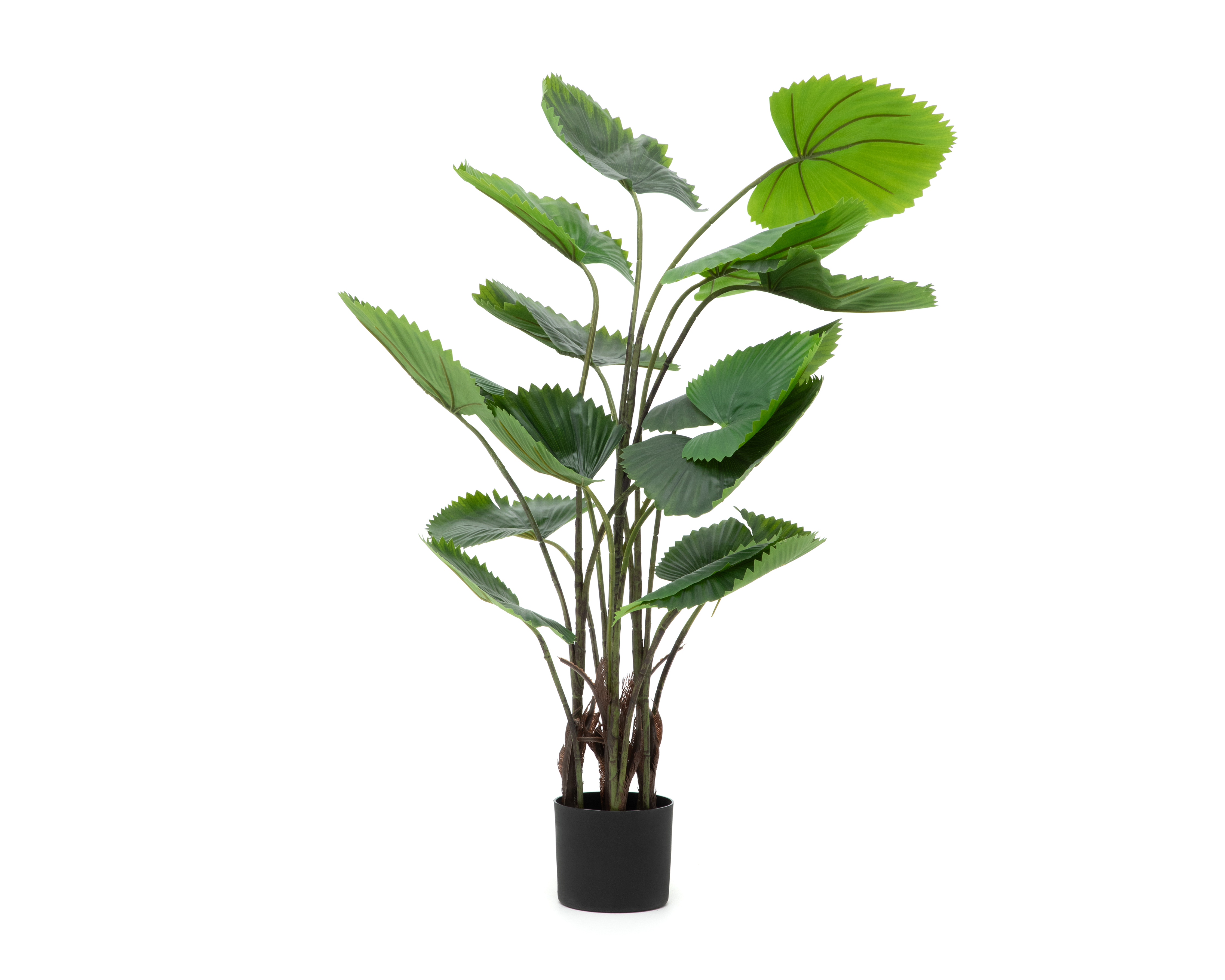 Foto 2 | Foto 2 | Planta Artificial con Maceta Starhaus 100 cm
