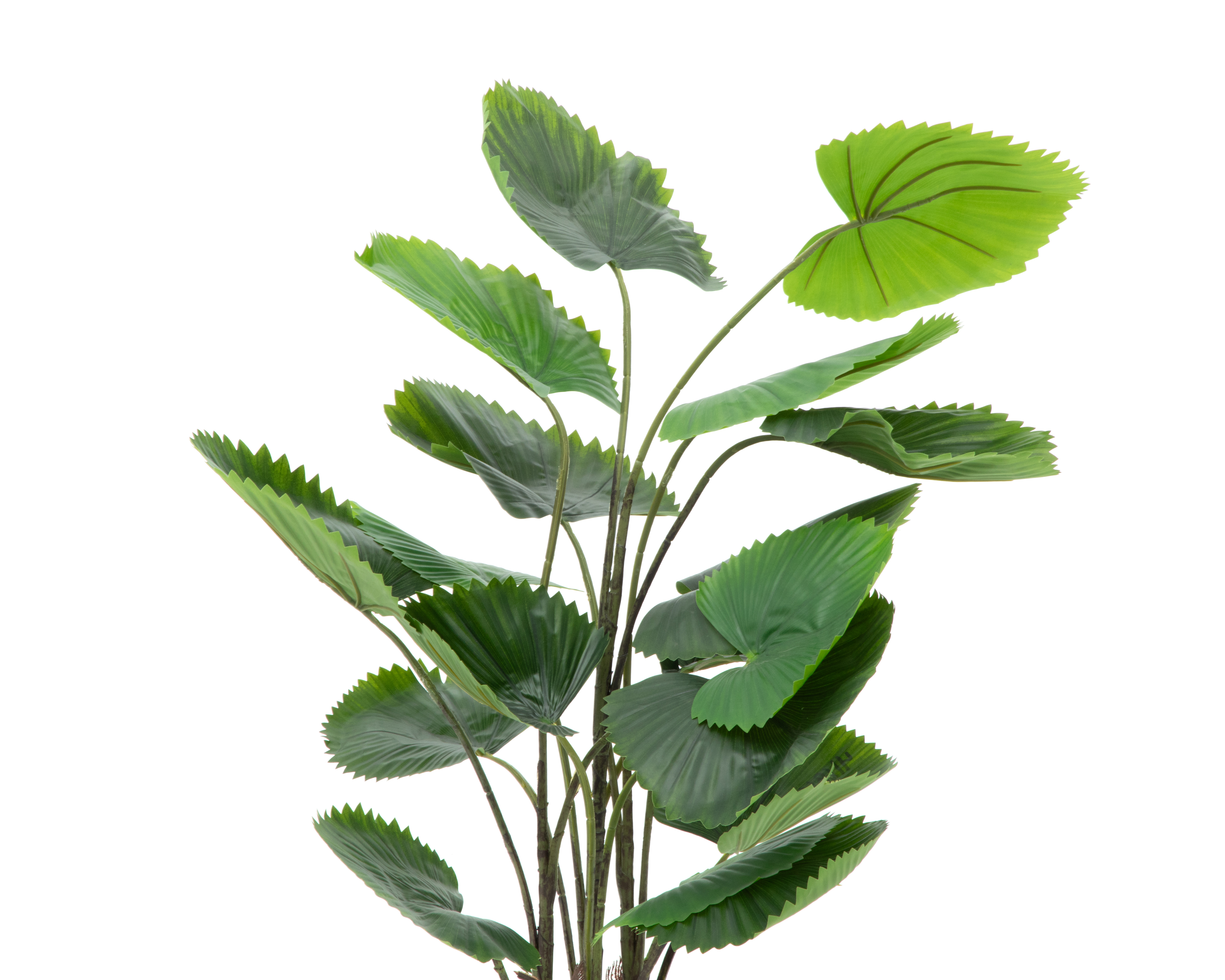 Foto 4 | Foto 4 | Planta Artificial con Maceta Starhaus 100 cm