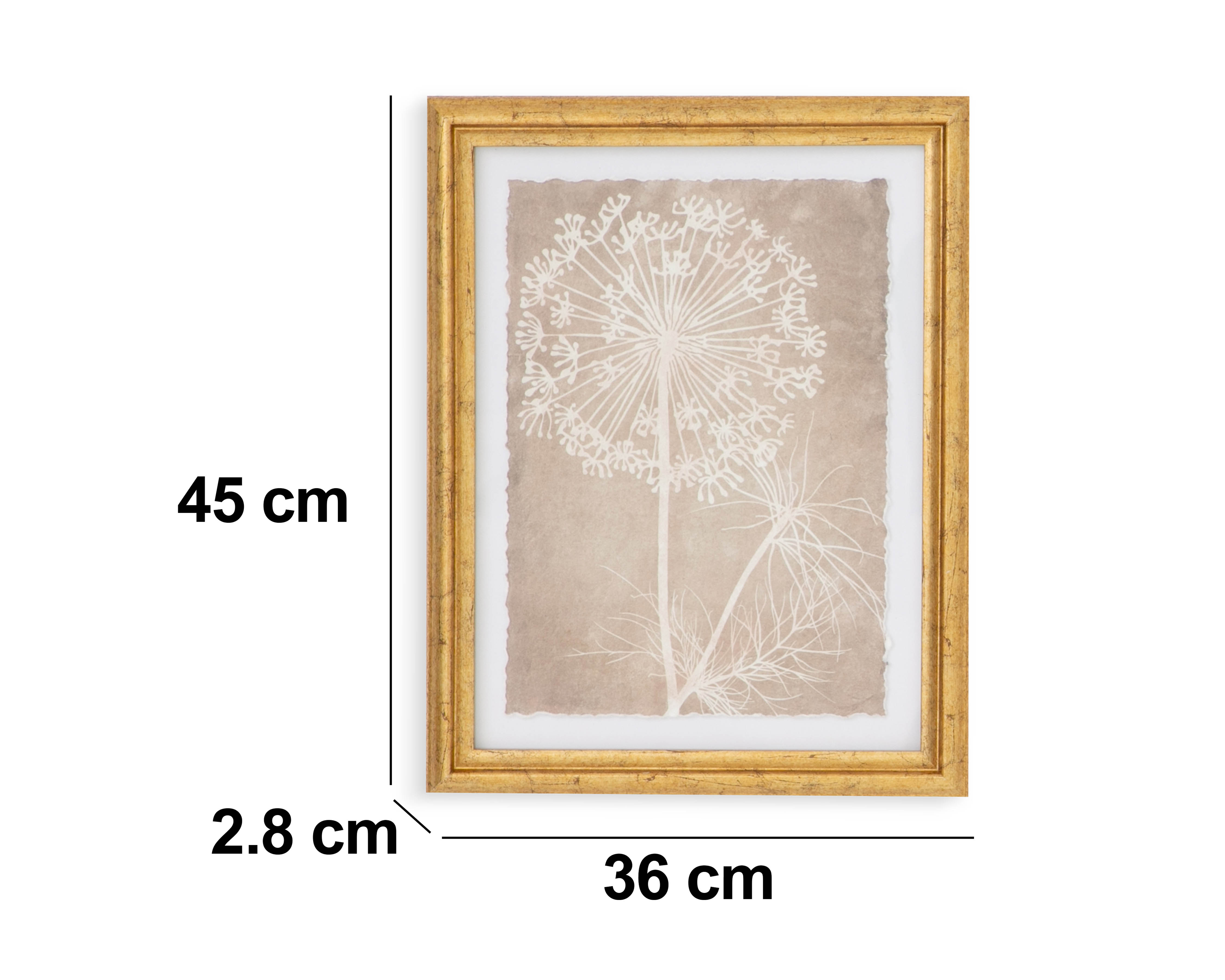 Foto 6 pulgar | Foto 5 | Cuadro Decorativo Deleons Starhaus 2 Piezas