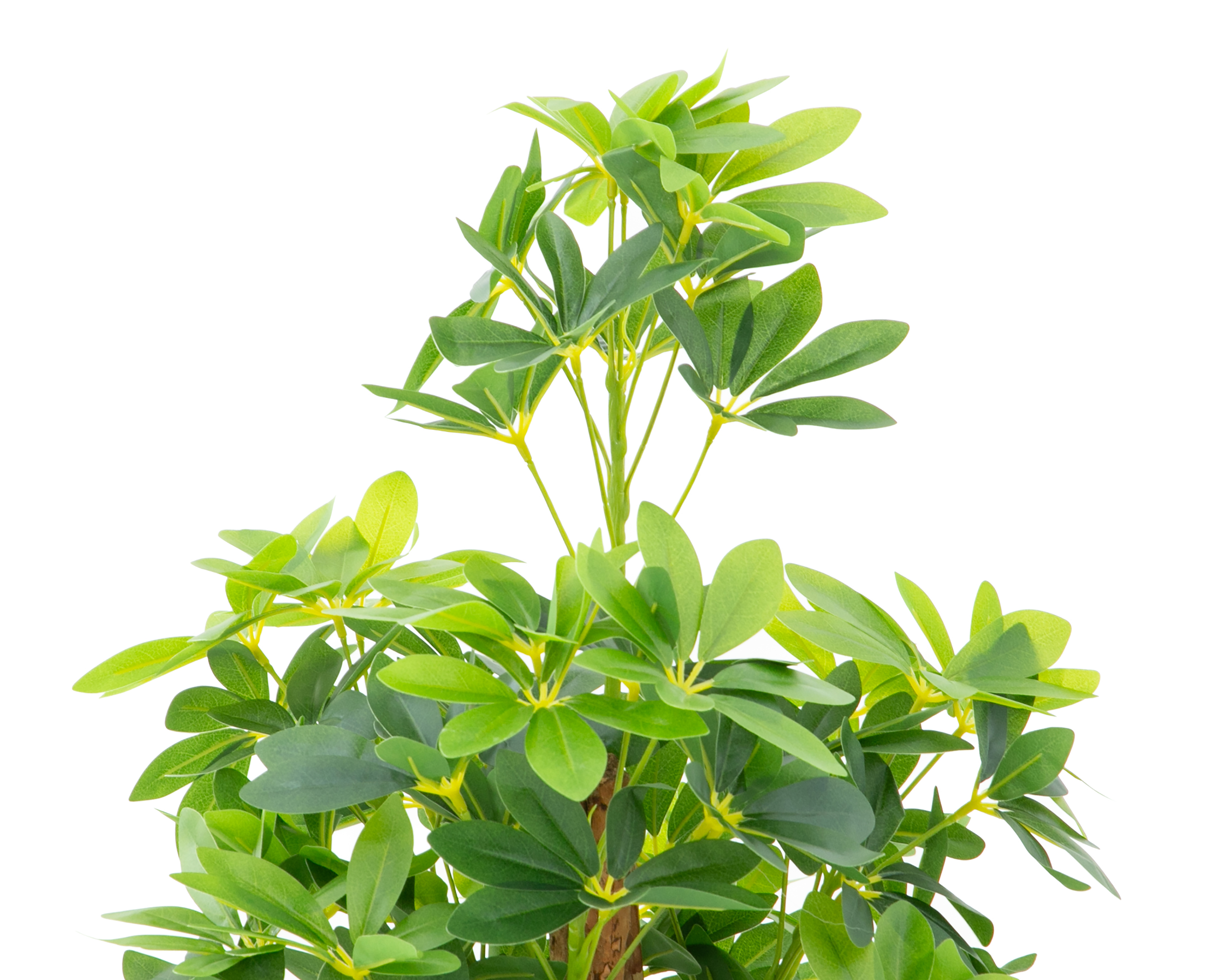 Foto 5 | Foto 5 | Árbol Artificial con Maceta Starhaus 155 cm