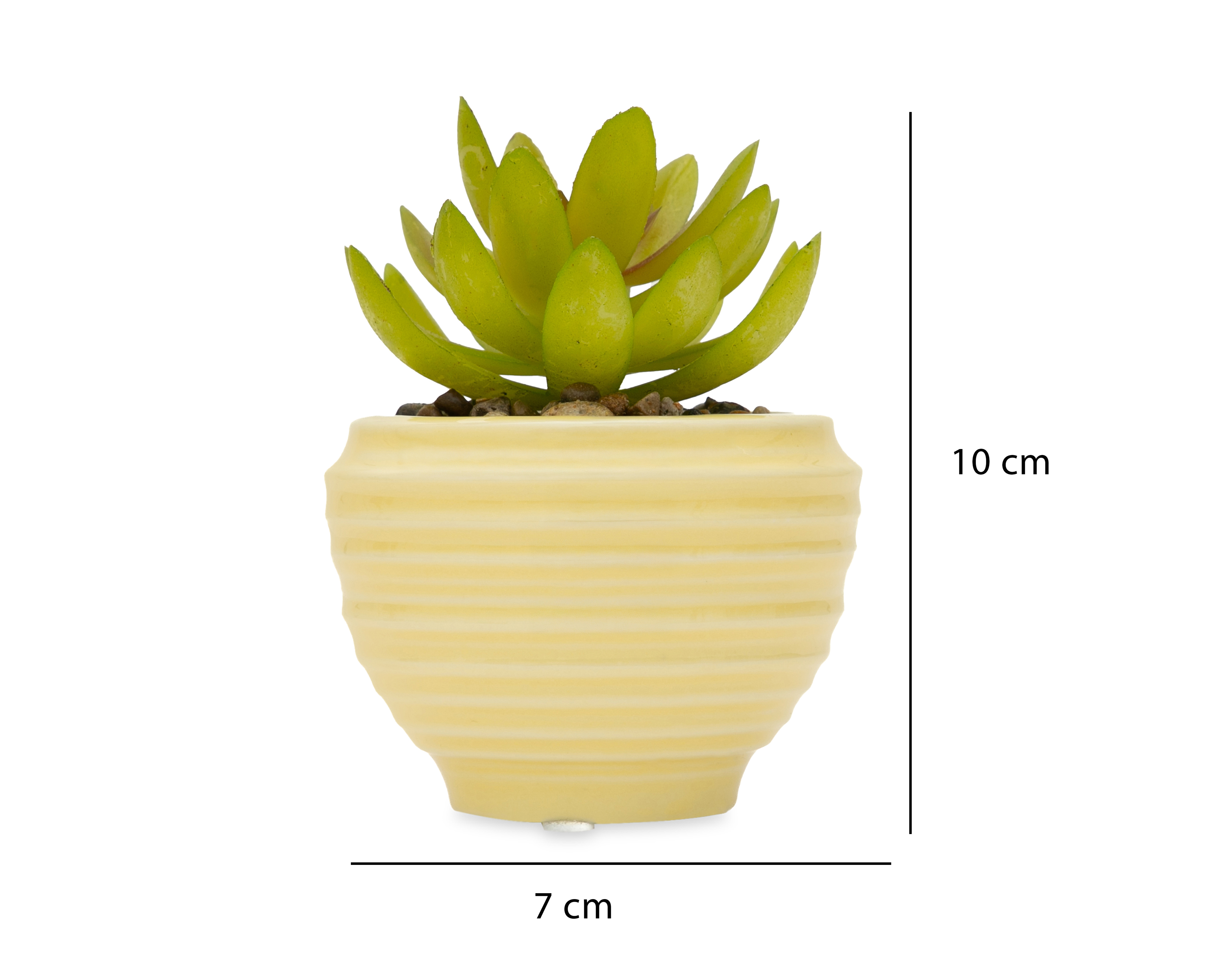 Foto 5 | Foto 5 | Suculenta Artificial con Maceta Starhaus 10 cm