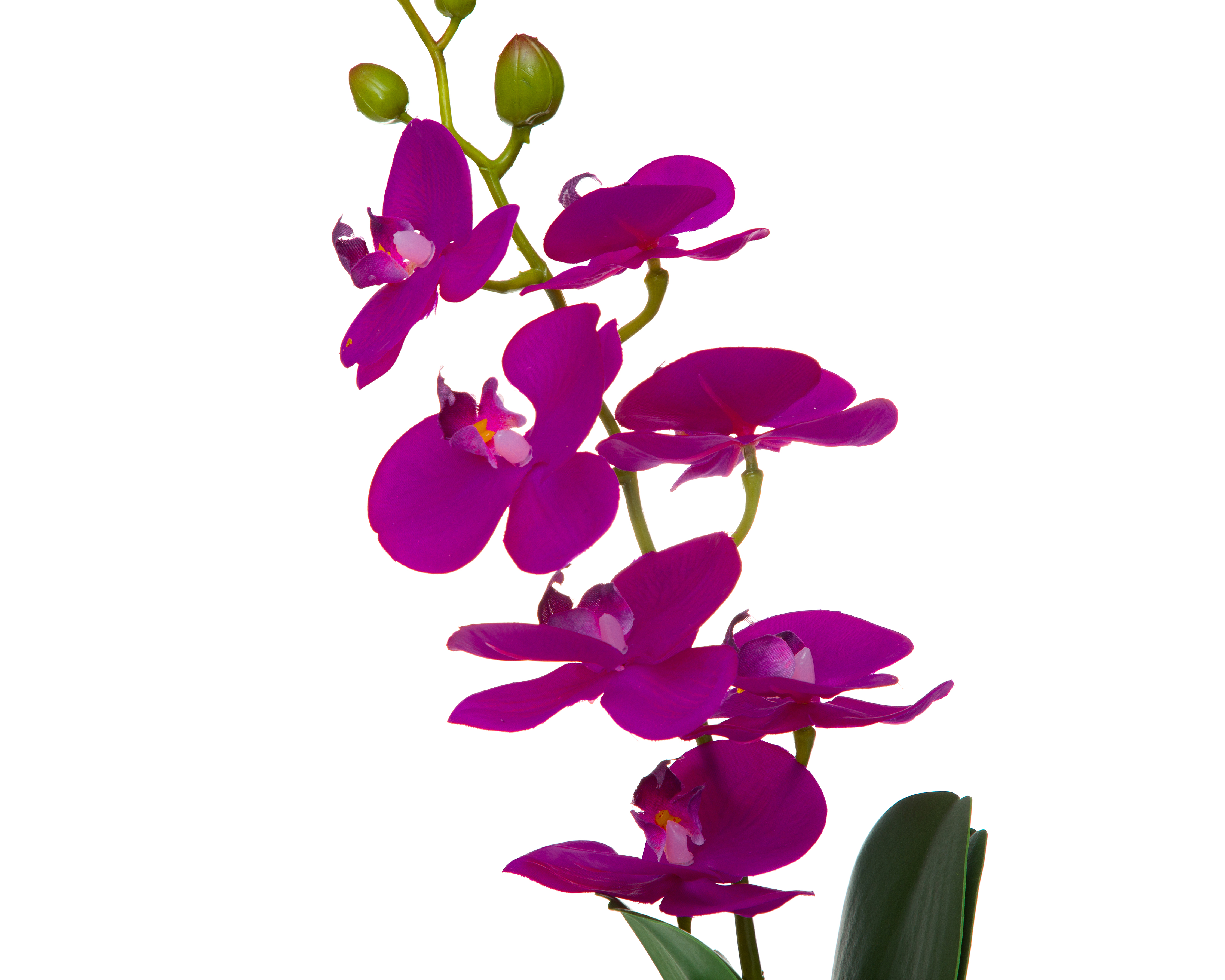 Foto 4 pulgar | Foto 3 | Orquídea Artificial con Maceta Starhaus 47 cm