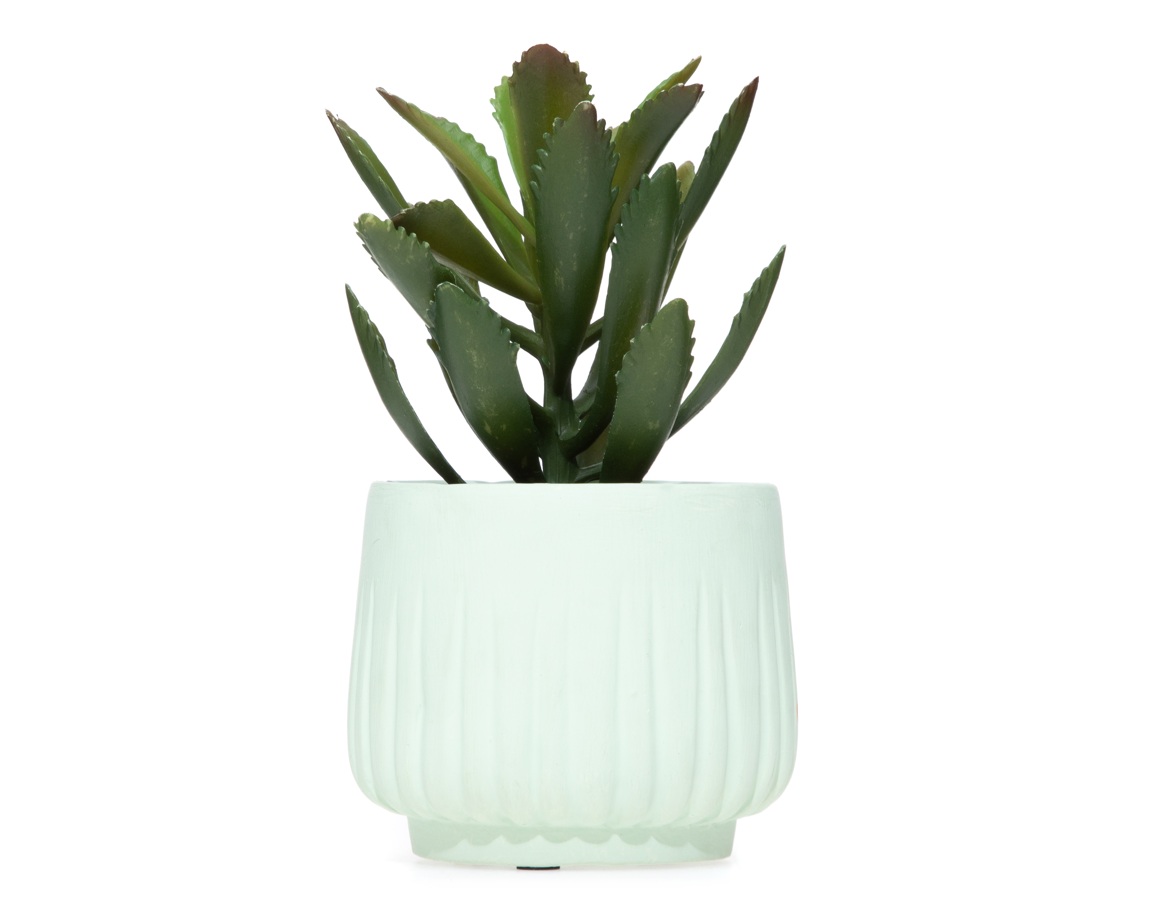 Suculenta Artificial con Maceta Starhaus 20 cm