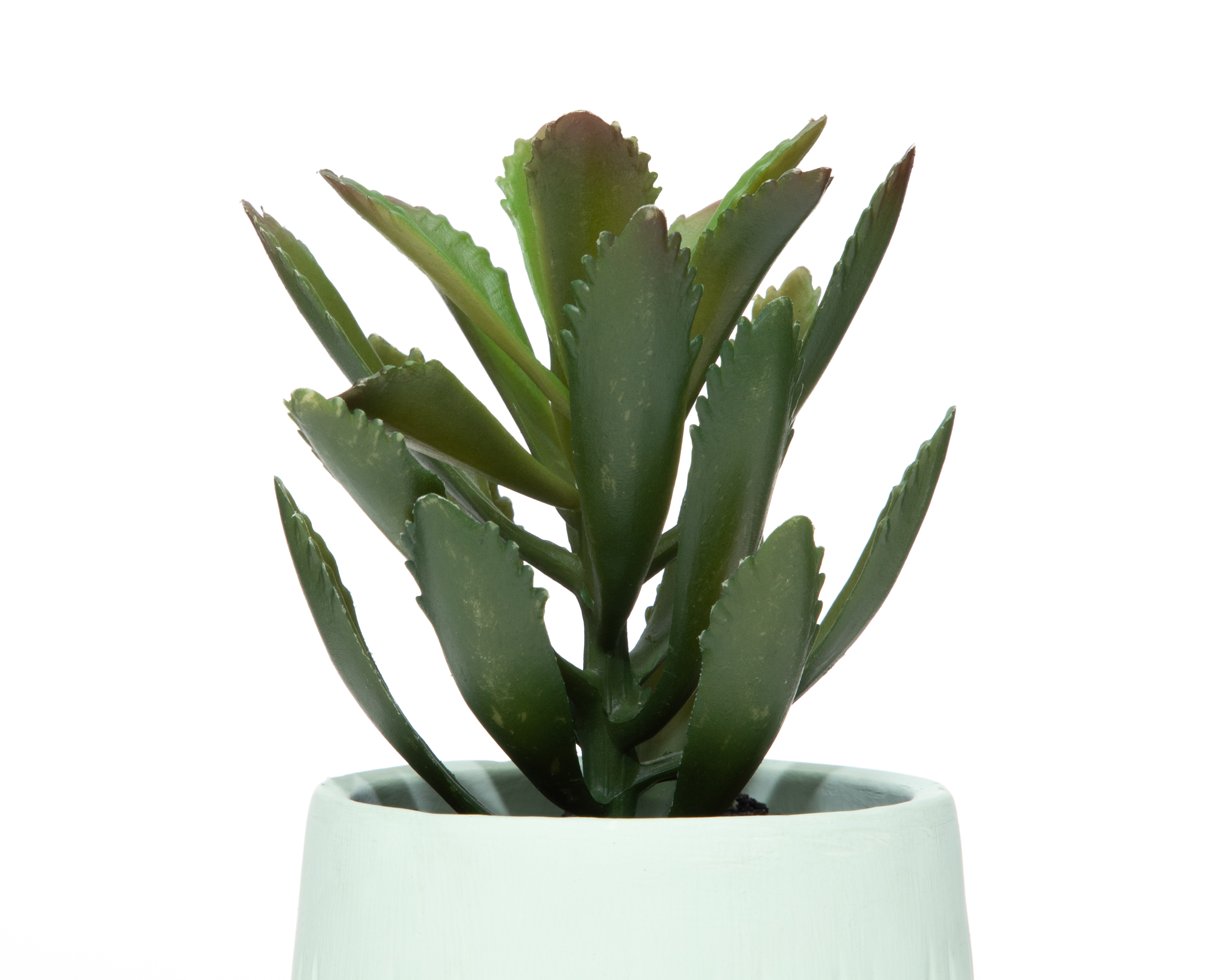 Foto 3 | Foto 3 | Suculenta Artificial con Maceta Starhaus 20 cm