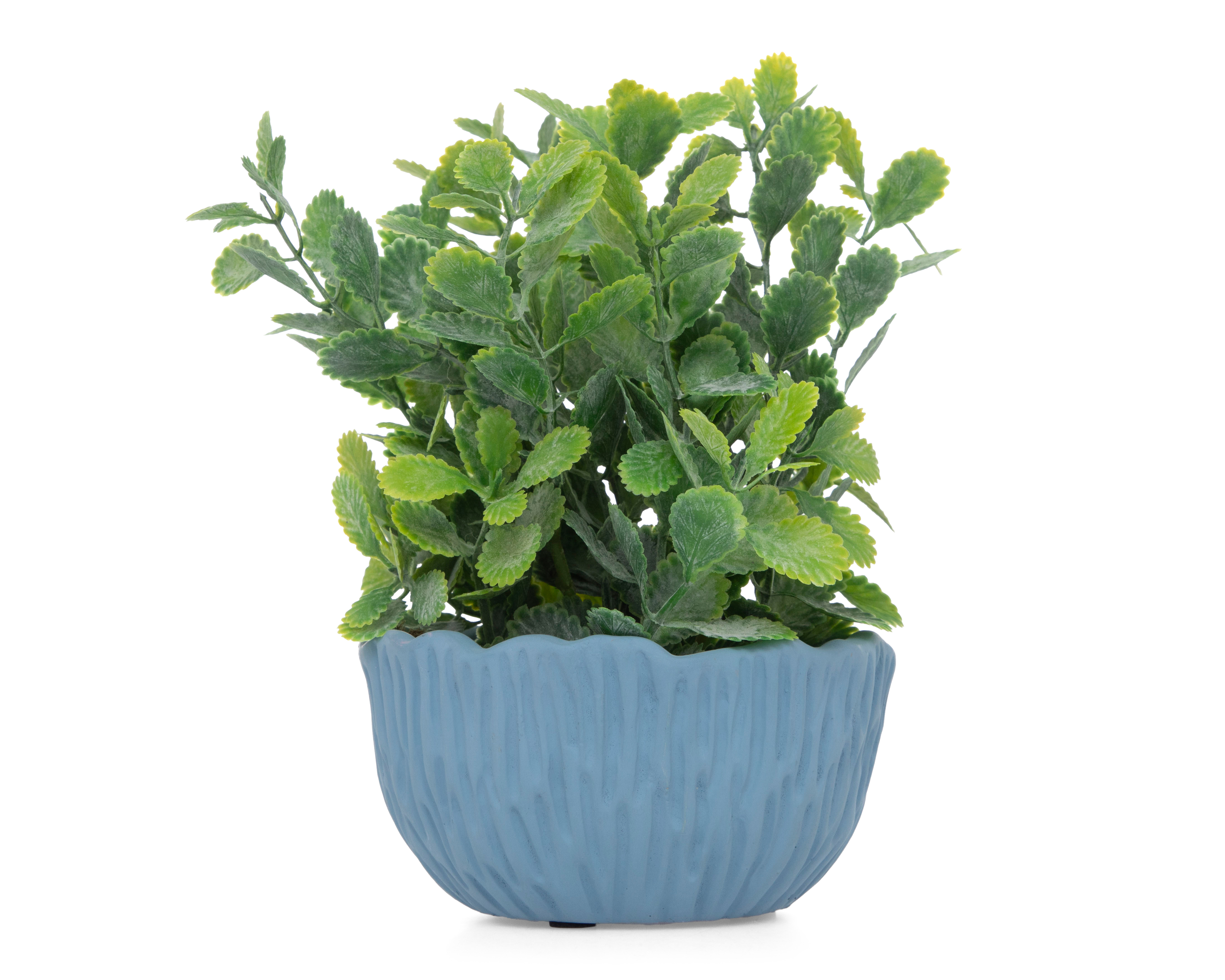 Foto 2 pulgar | Foto 1 | Kalanchoe Artificial con Maceta Starhaus 19 cm