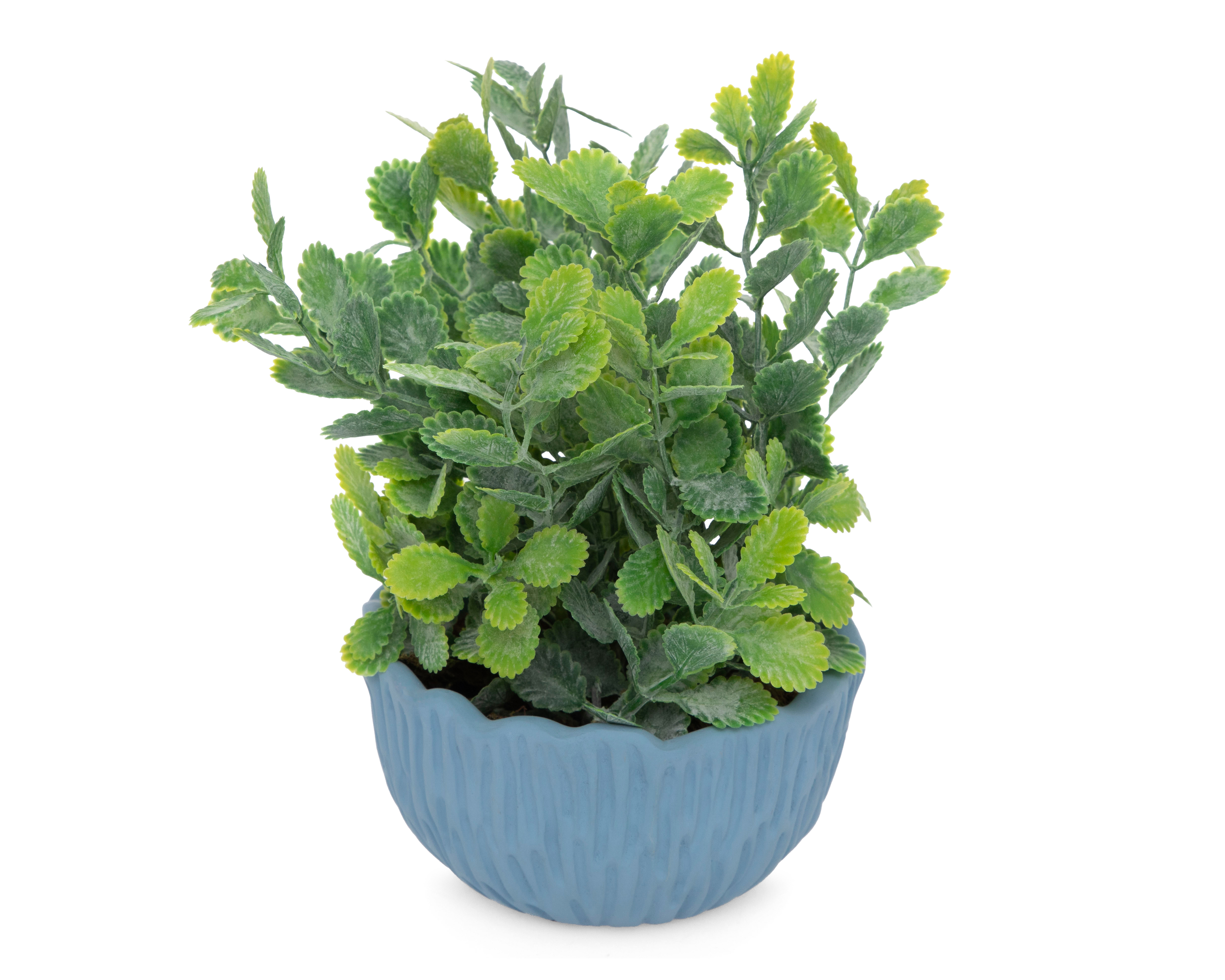 Foto 3 pulgar | Foto 2 | Kalanchoe Artificial con Maceta Starhaus 19 cm