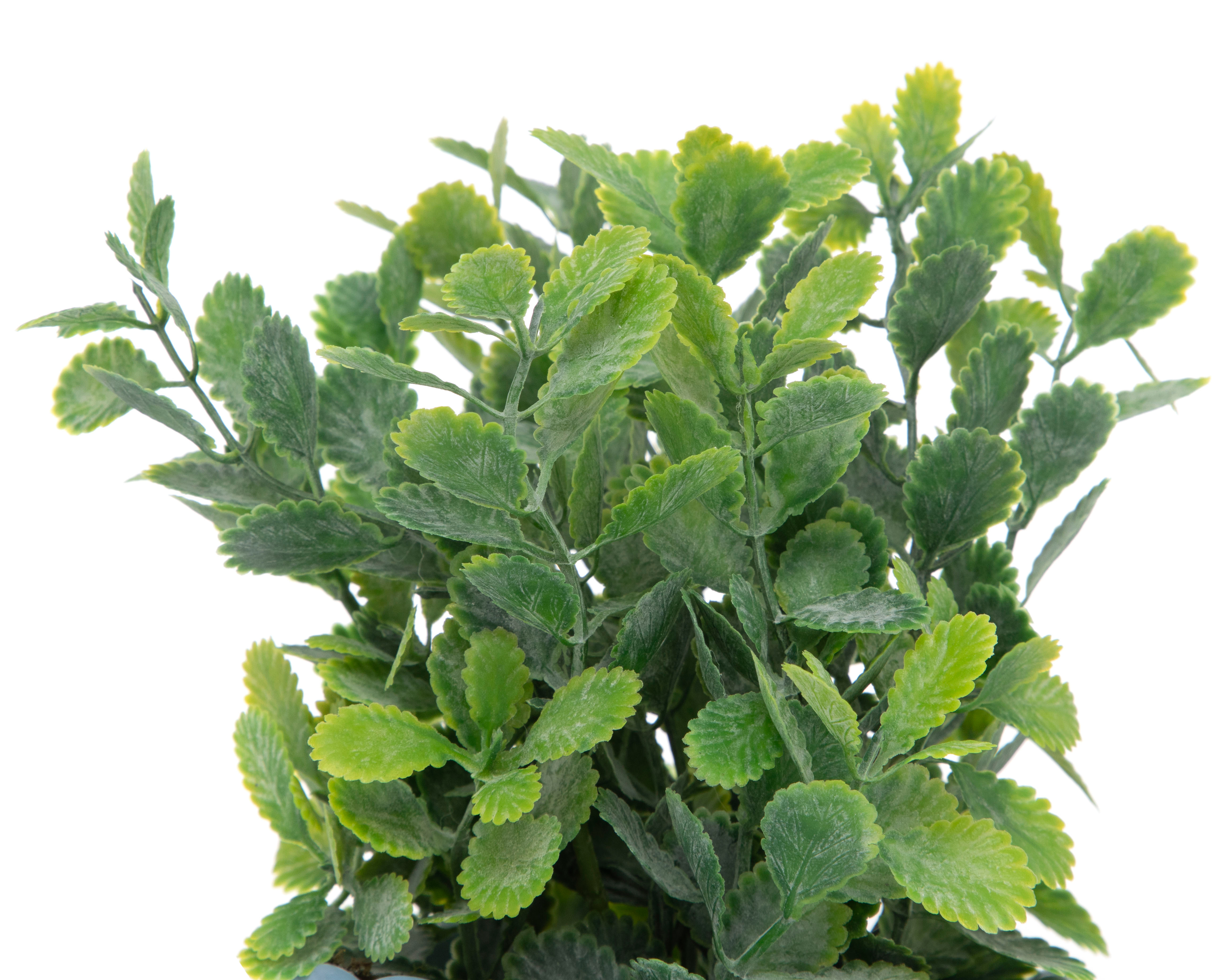 Foto 4 pulgar | Foto 3 | Kalanchoe Artificial con Maceta Starhaus 19 cm
