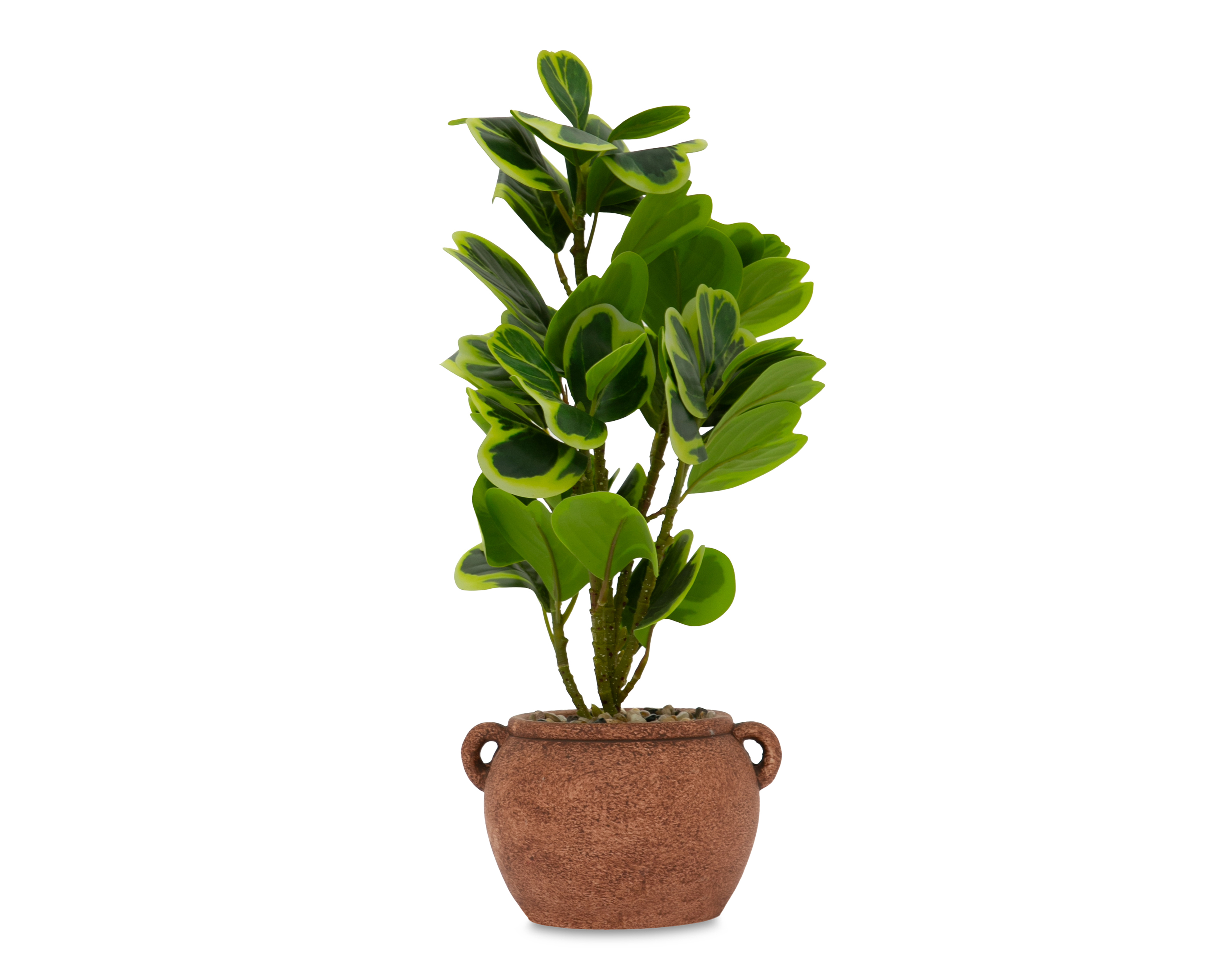 Foto 2 pulgar | Foto 1 | Peperomia Artificial con Maceta Starhaus 41 cm