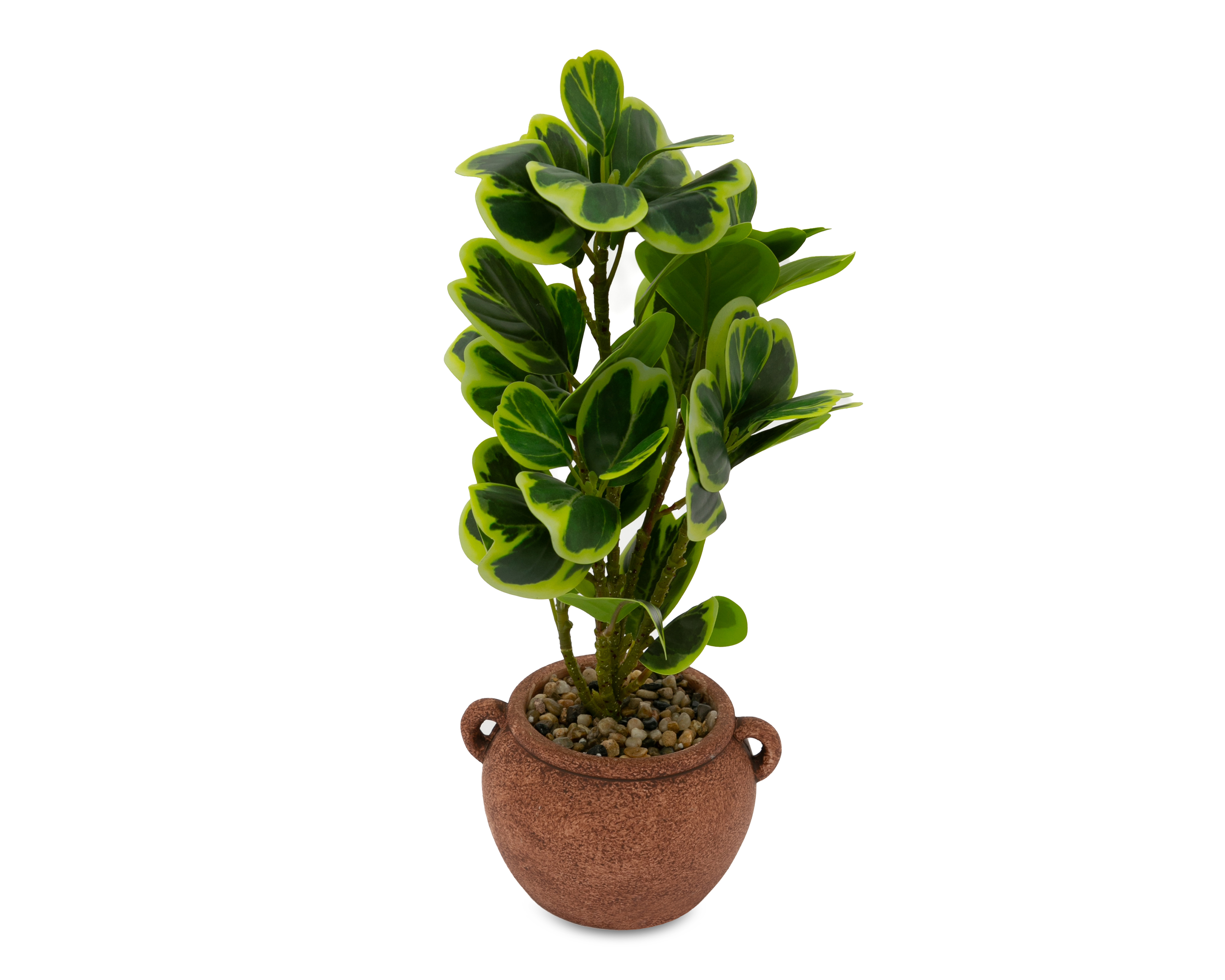 Foto 3 pulgar | Foto 2 | Peperomia Artificial con Maceta Starhaus 41 cm