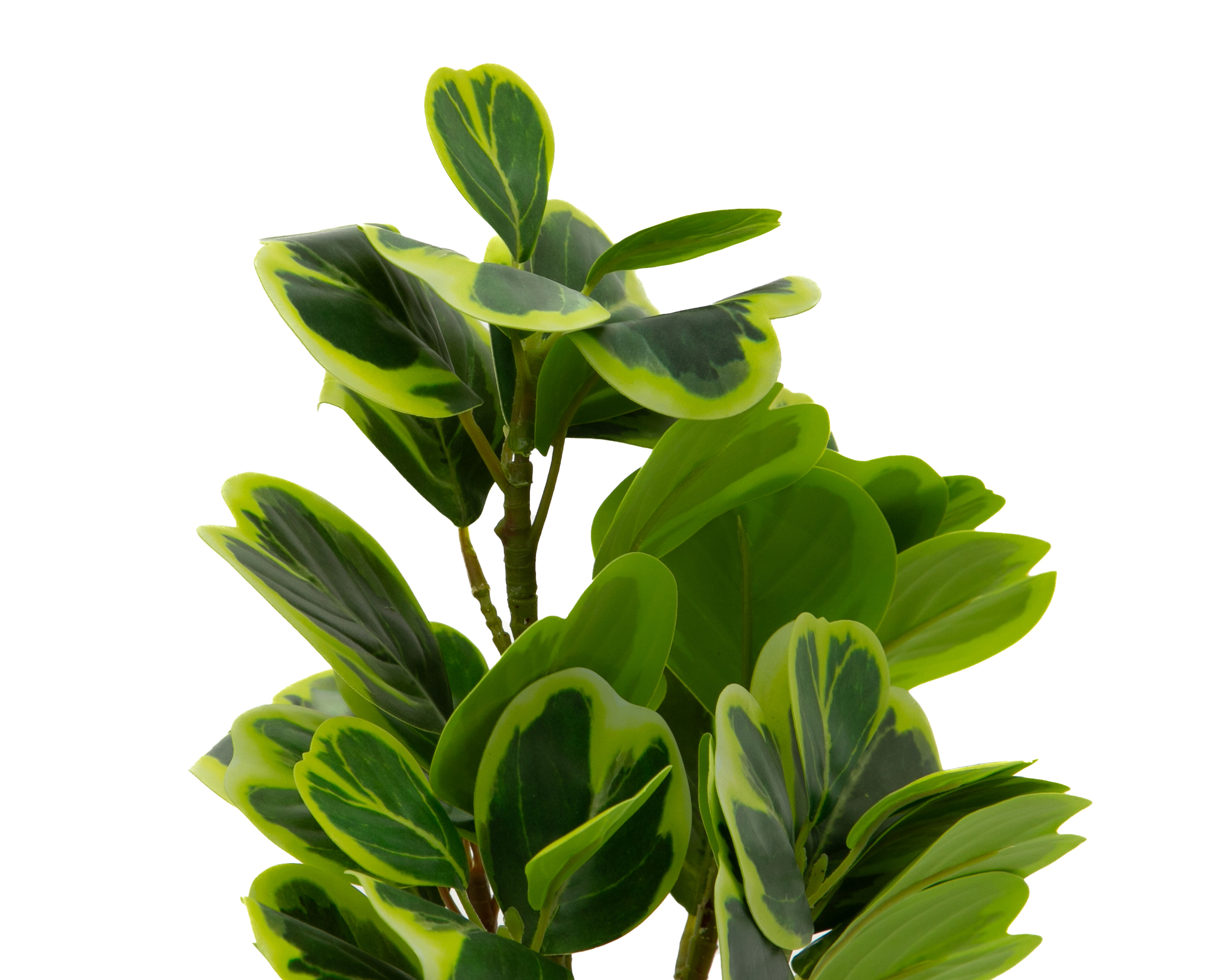 Foto 4 pulgar | Foto 3 | Peperomia Artificial con Maceta Starhaus 41 cm