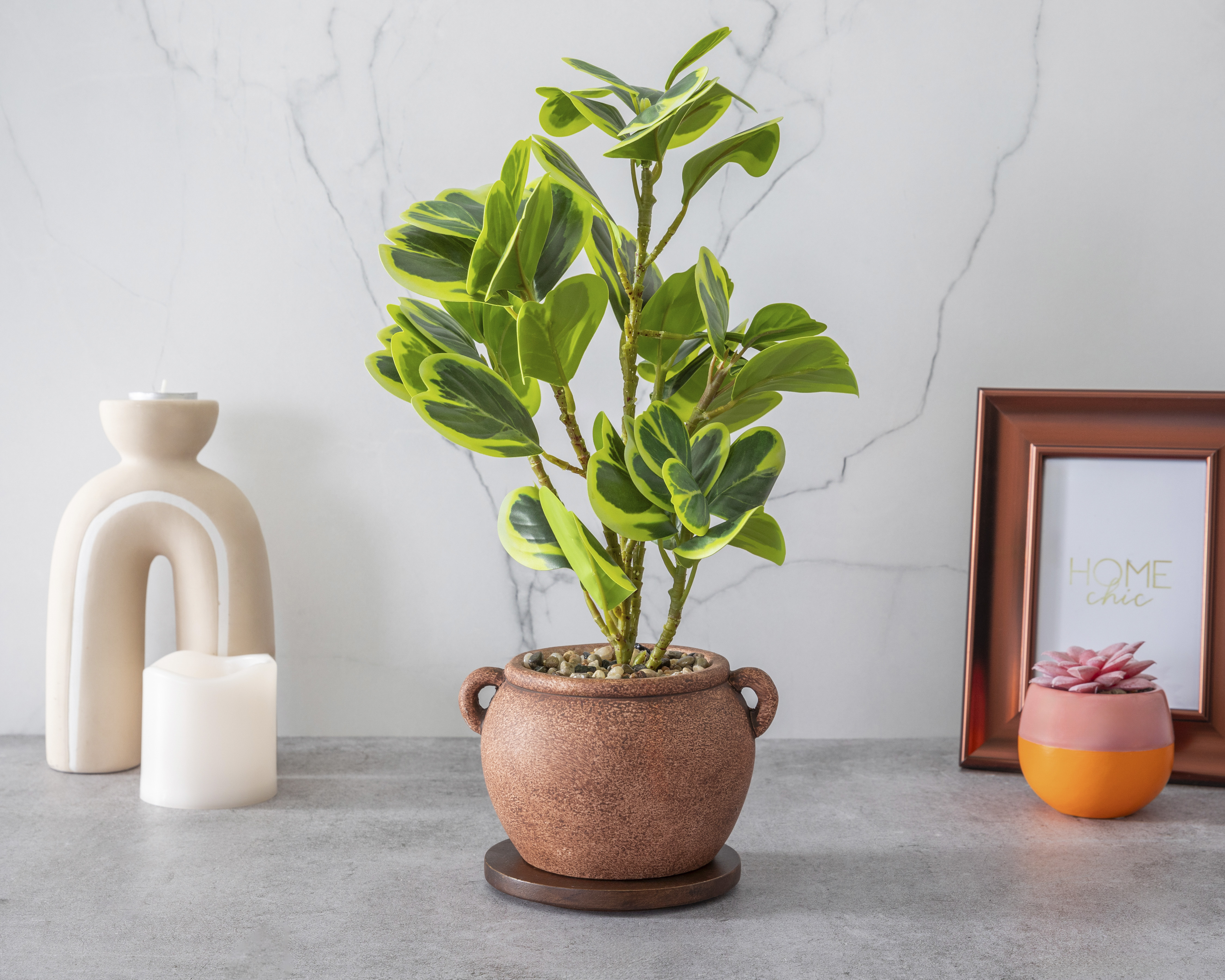 Foto 5 pulgar | Foto 4 | Peperomia Artificial con Maceta Starhaus 41 cm