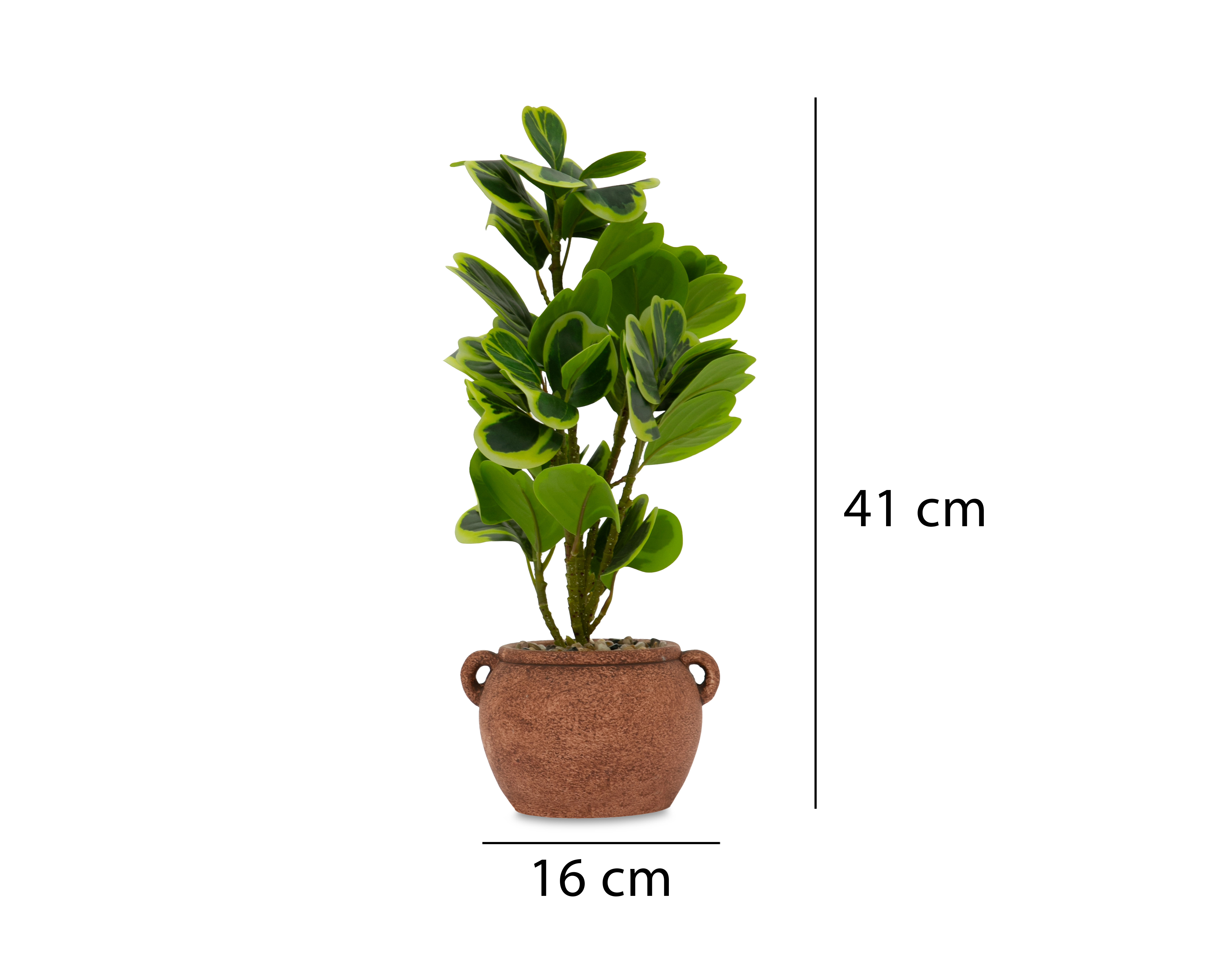 Foto 6 pulgar | Foto 5 | Peperomia Artificial con Maceta Starhaus 41 cm