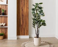 Planta Artificial con Maceta Starhaus 125 cm