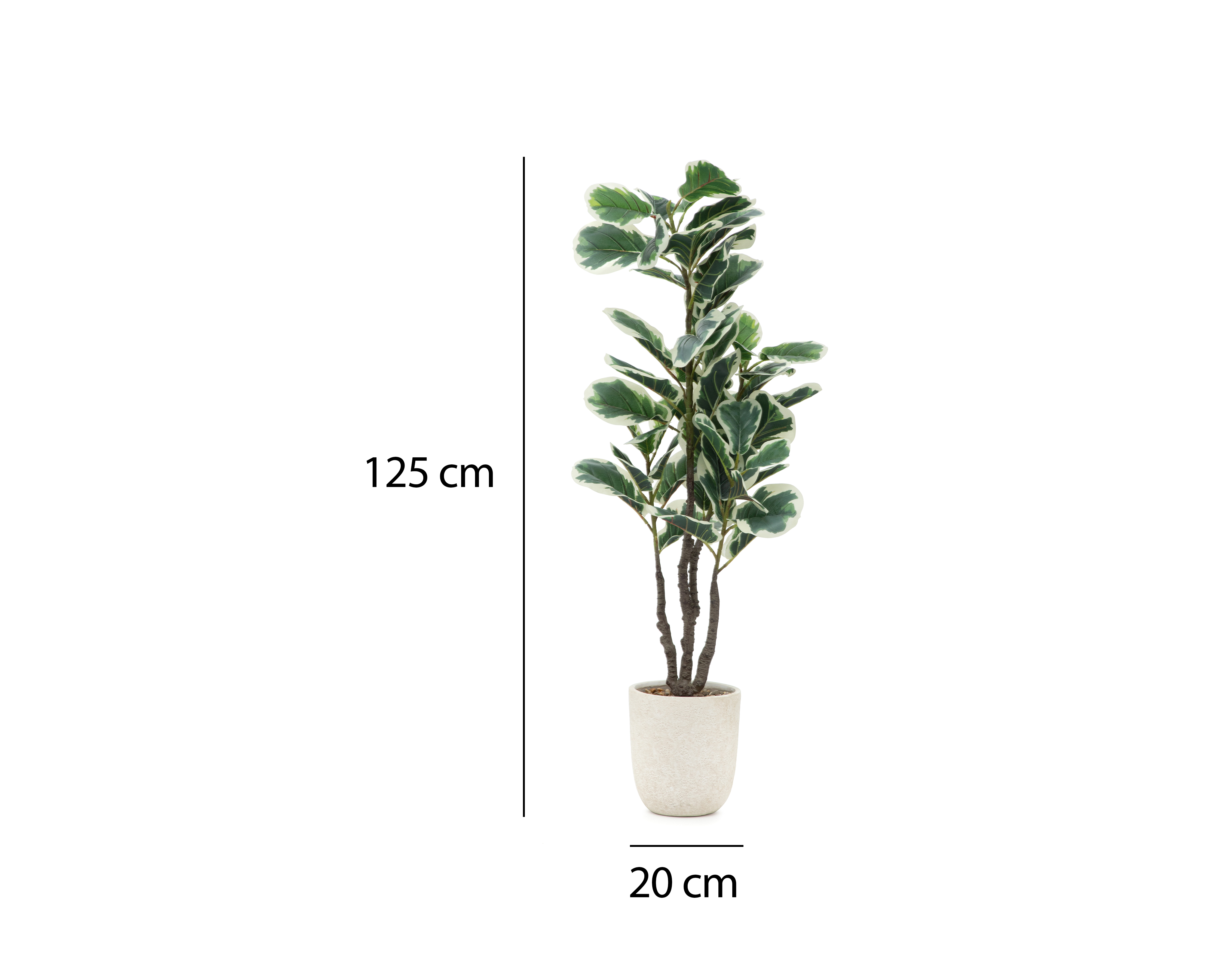 Foto 5 | Foto 5 | Planta Artificial con Maceta Starhaus 125 cm