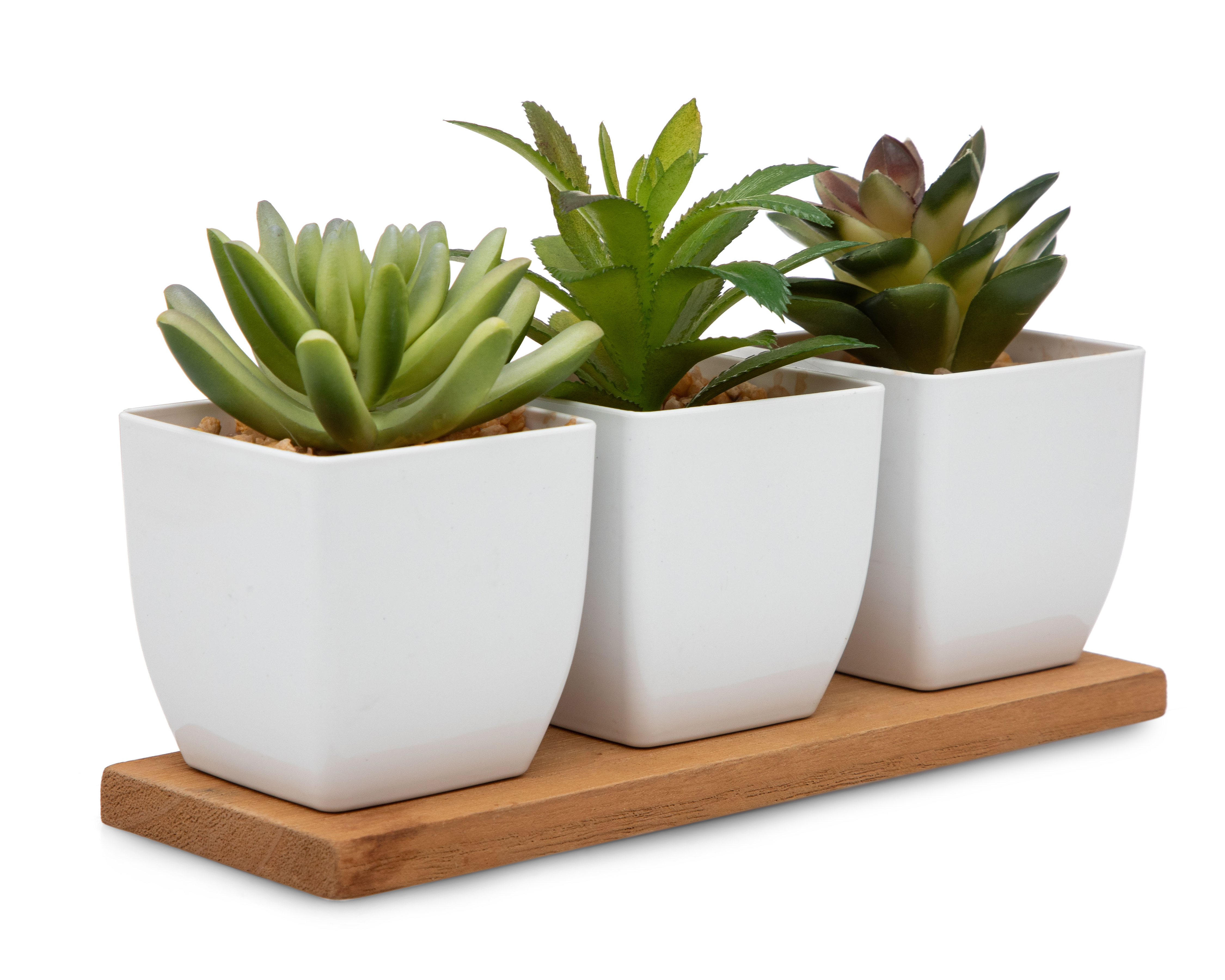 Foto 3 pulgar | Foto 2 | Suculenta Artificial con Maceta Starhaus 13 cm 3 Piezas