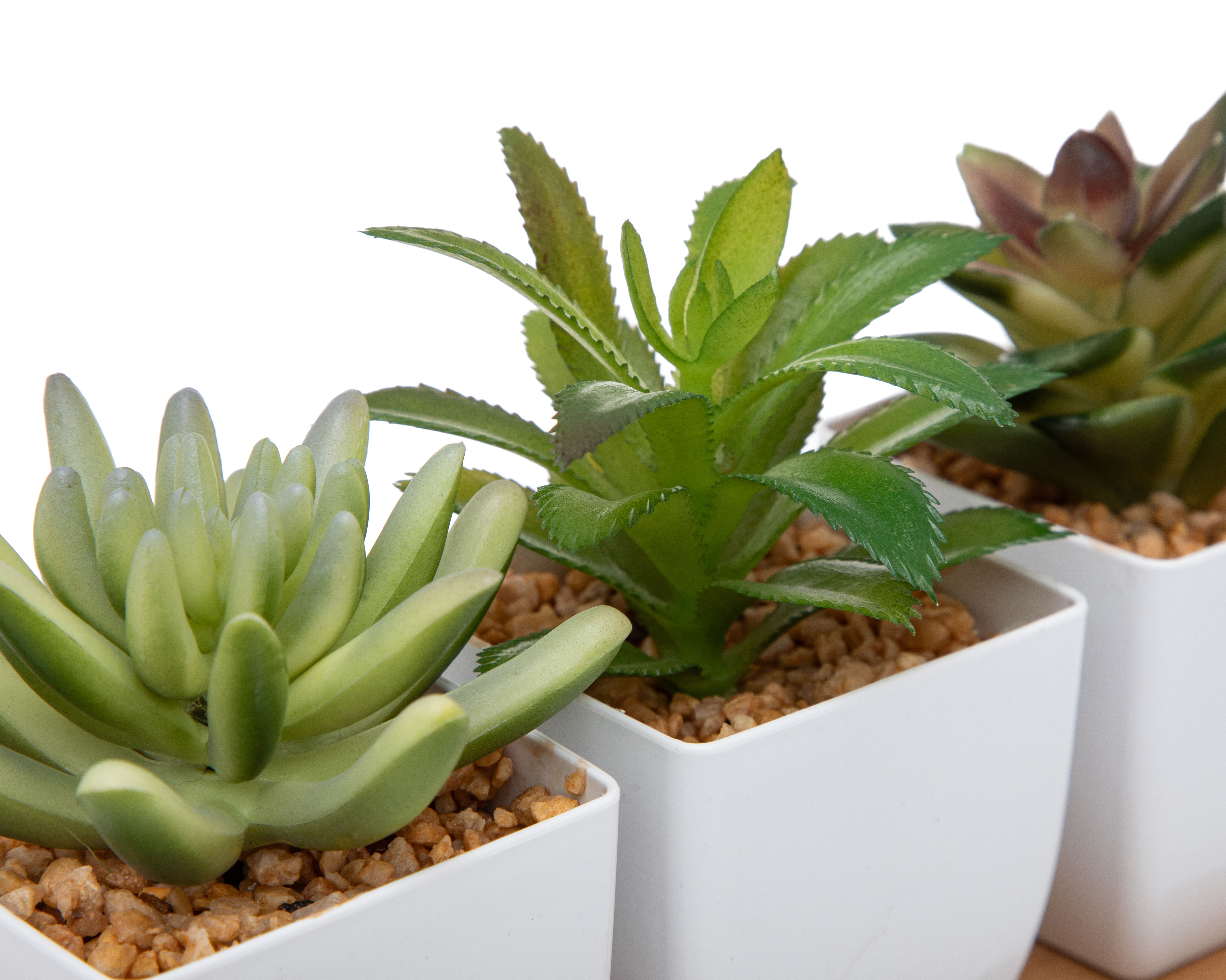 Foto 4 pulgar | Foto 3 | Suculenta Artificial con Maceta Starhaus 13 cm 3 Piezas